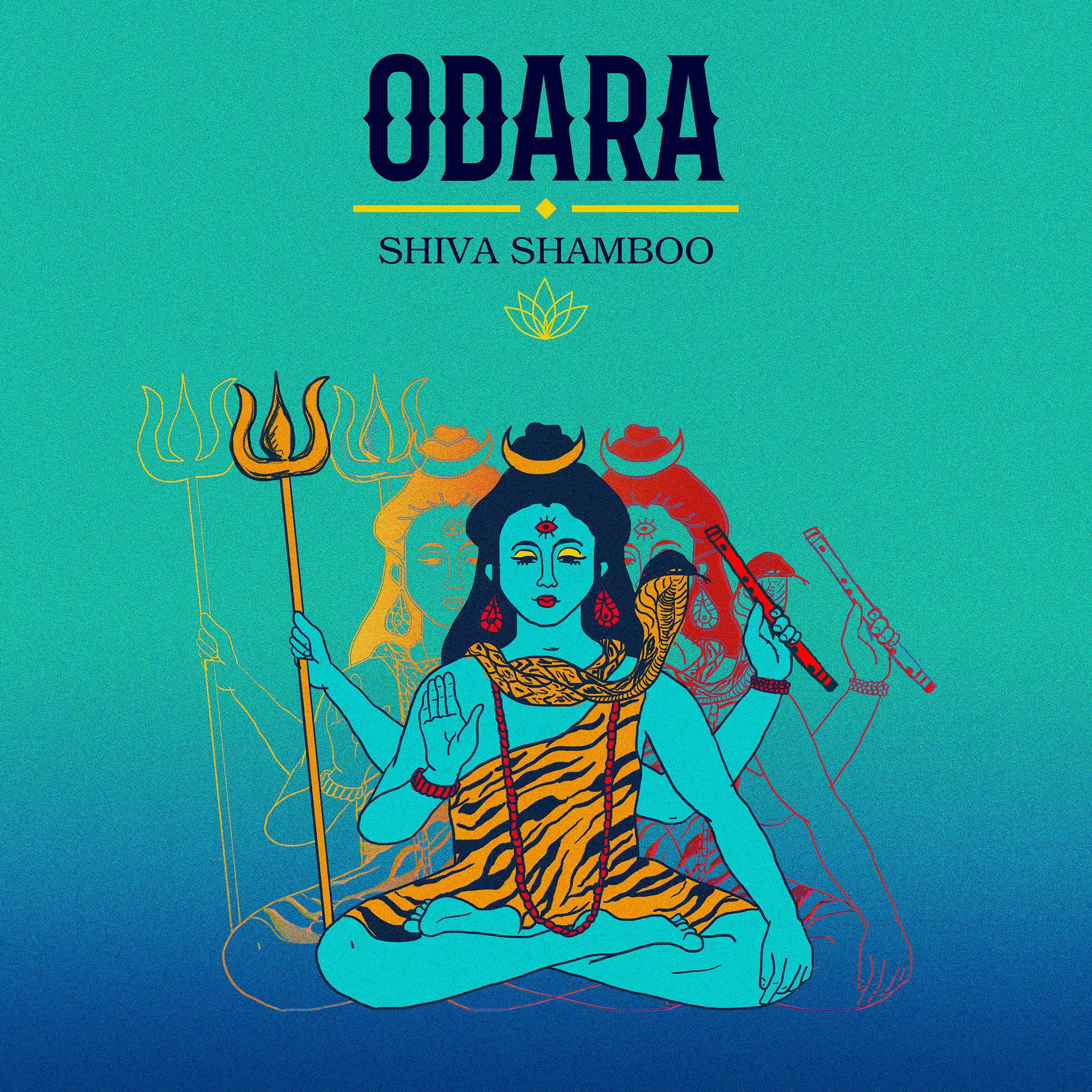 Постер альбома Shiva Shamboo Dub