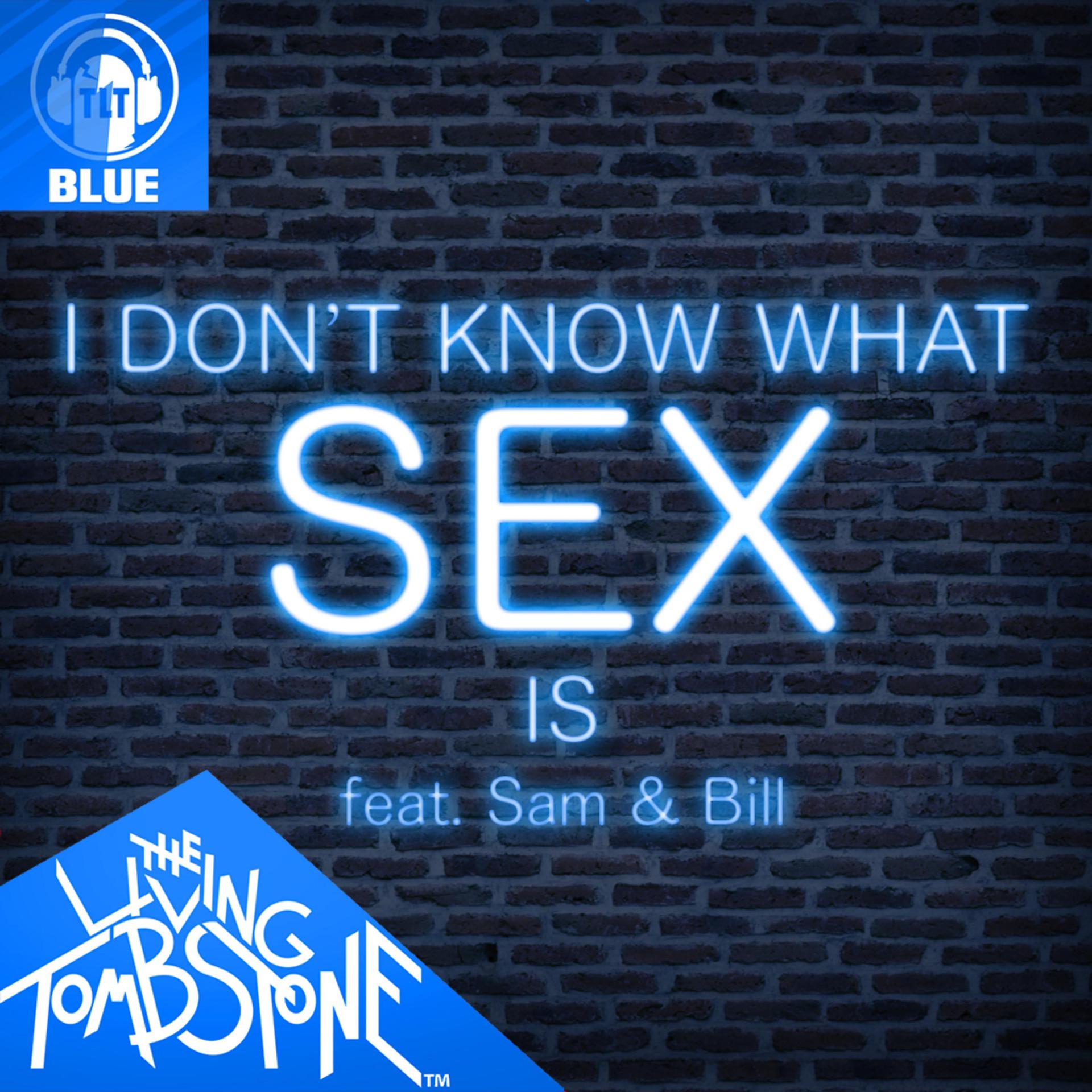 Постер альбома I Don't Know What Sex Is (Blue Version)