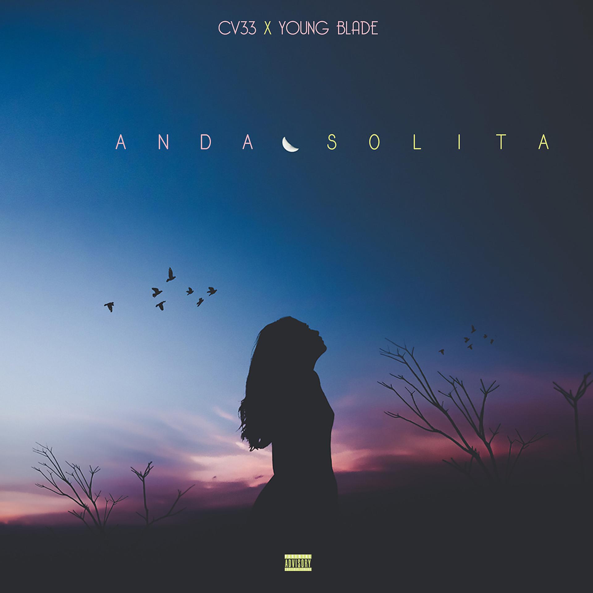 Постер альбома Anda Solita