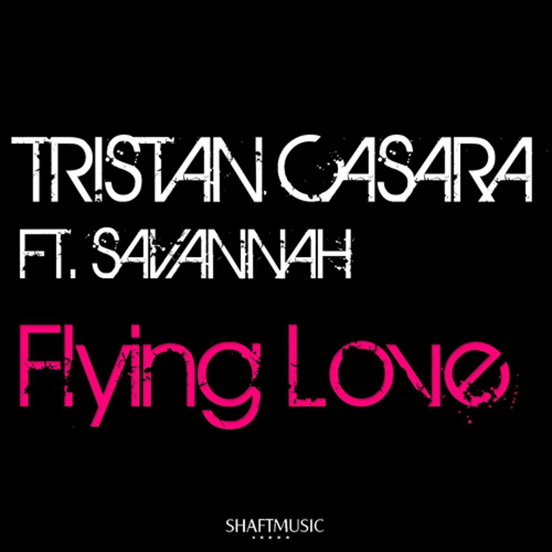 Постер альбома Flying Love