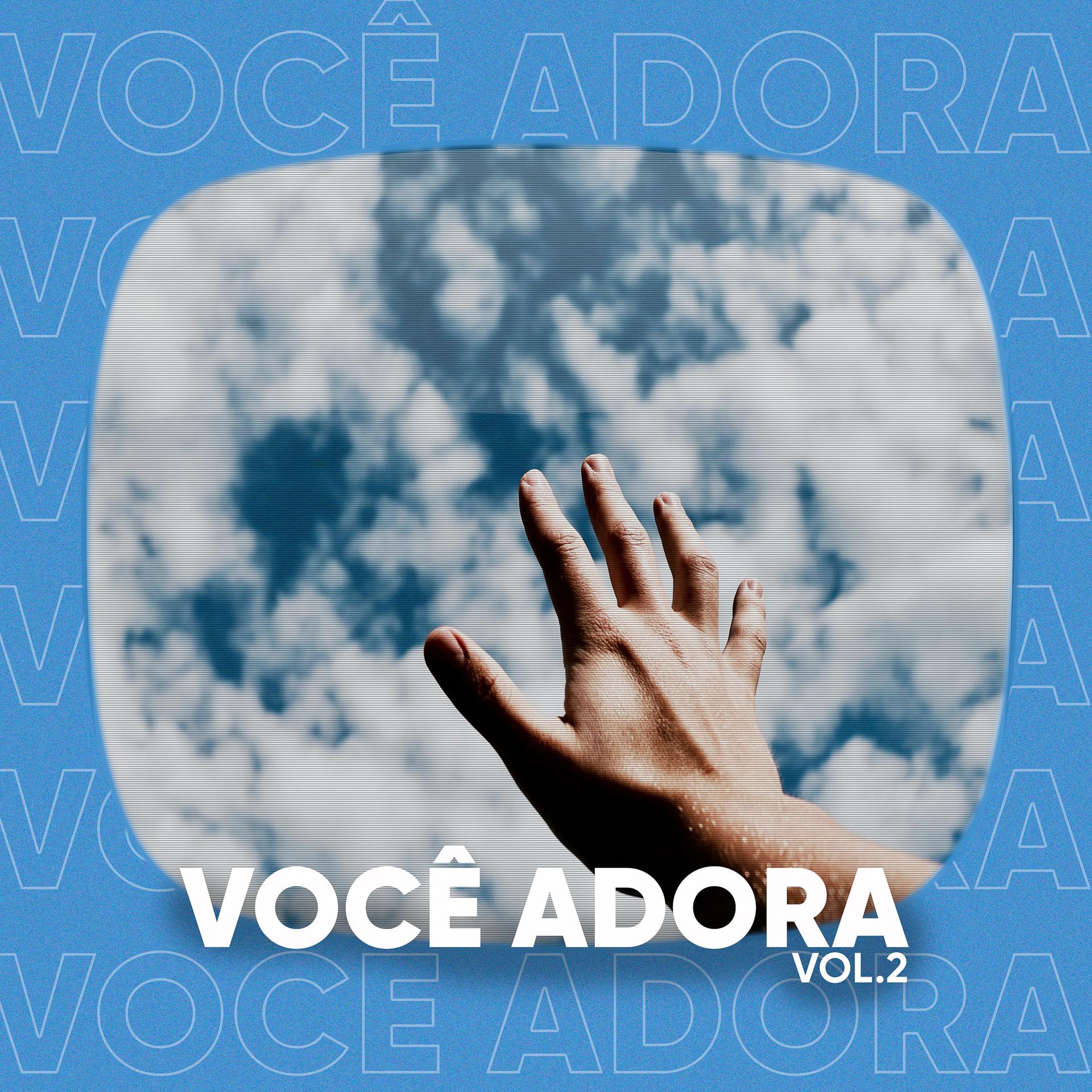 Постер альбома Você Adora, Vol. 2