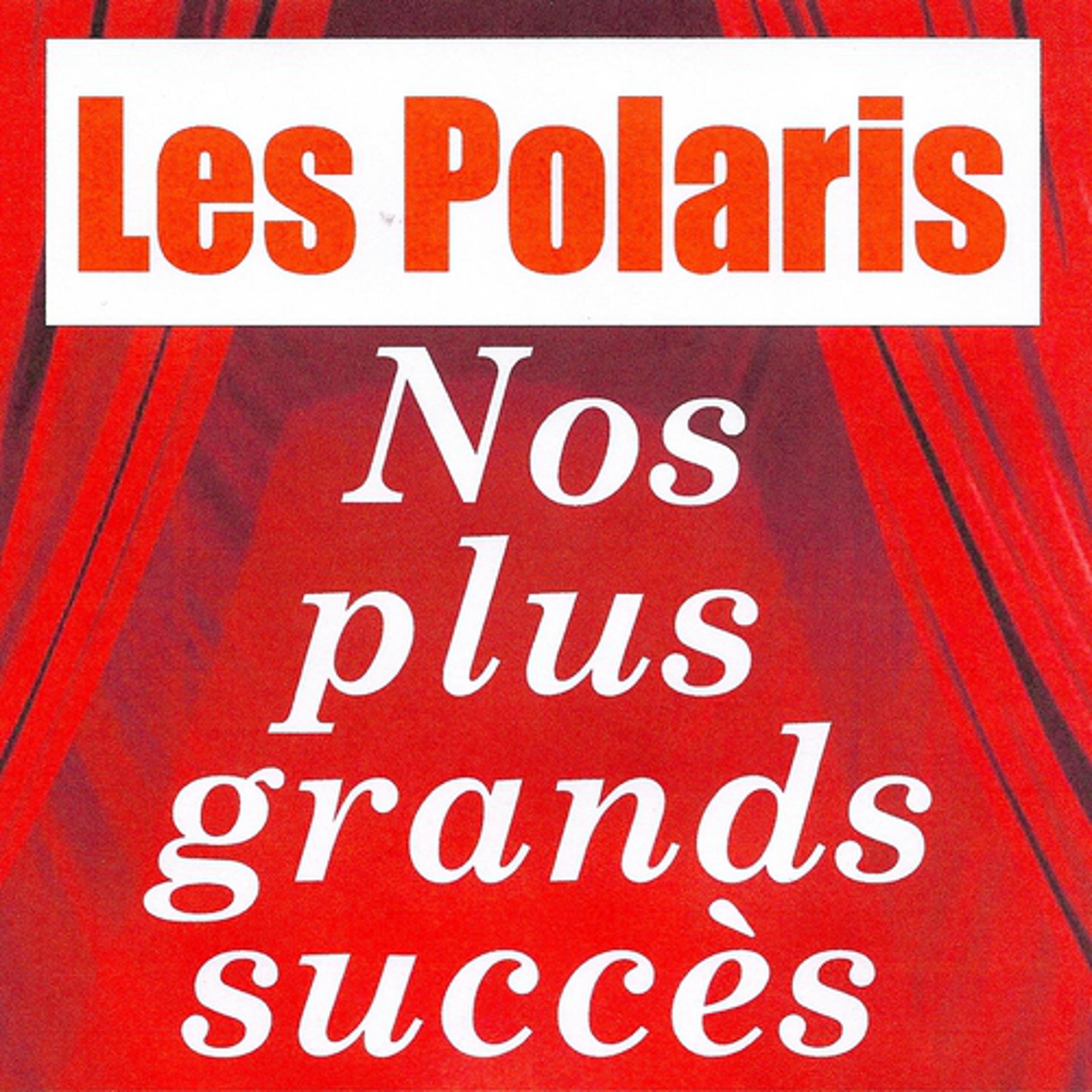 Постер альбома Nos plus grands succès - Les polaris