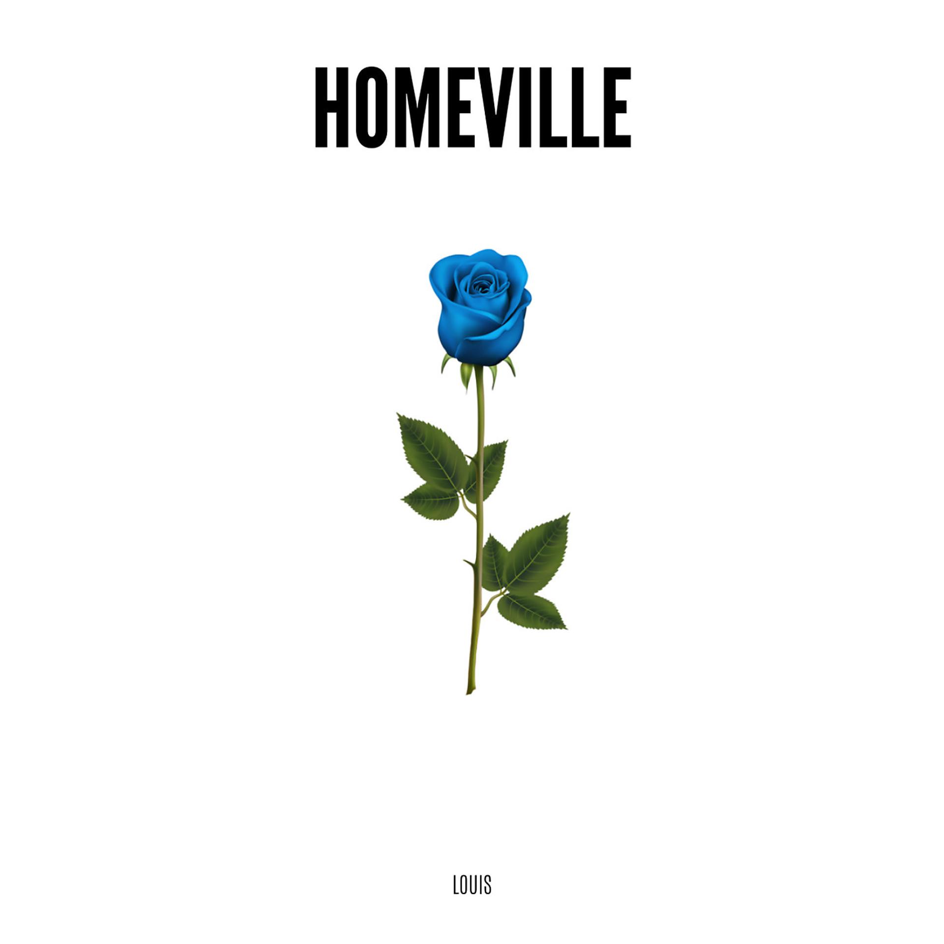 Постер альбома Homeville