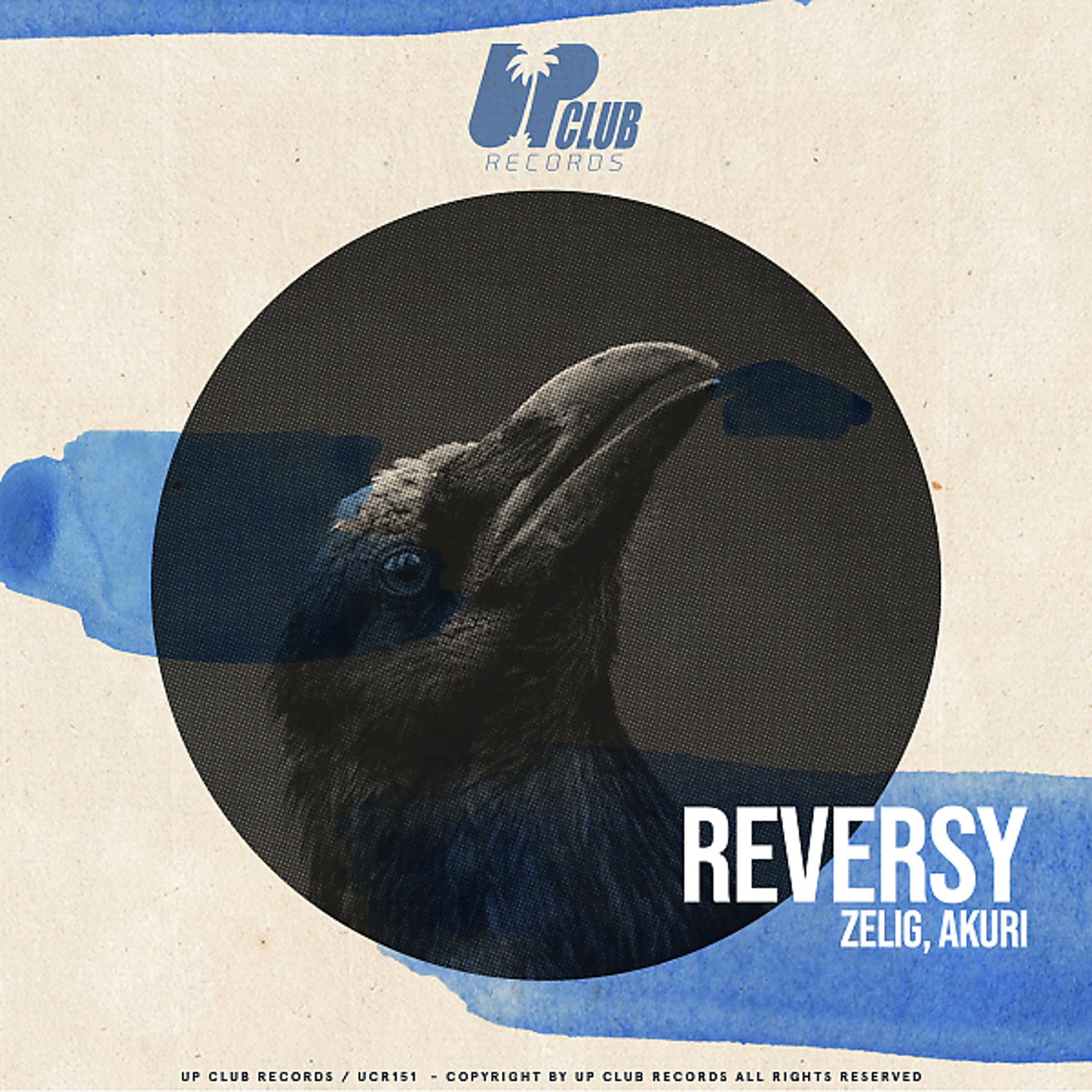 Постер альбома Reversy