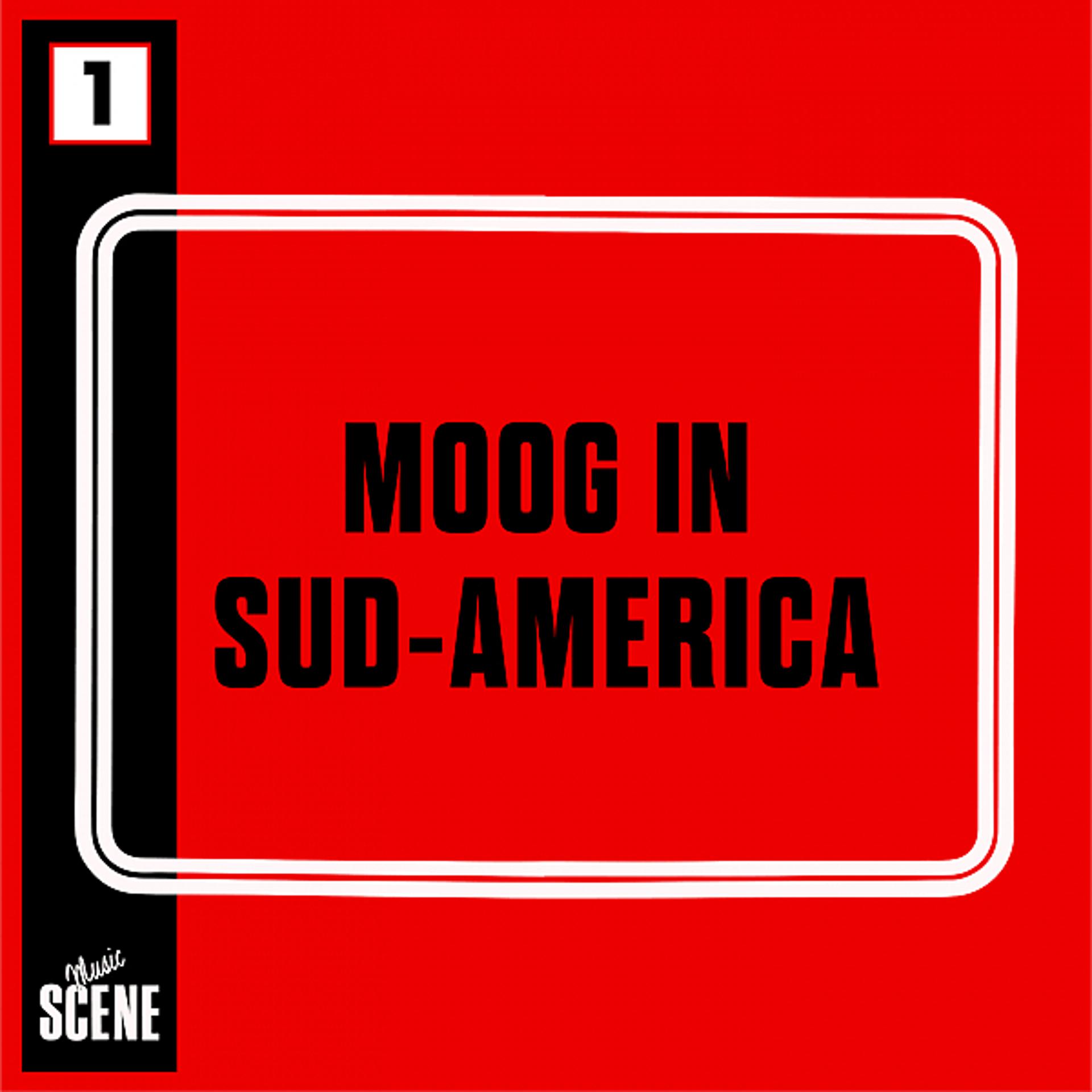 Постер альбома Moog in Sud-America
