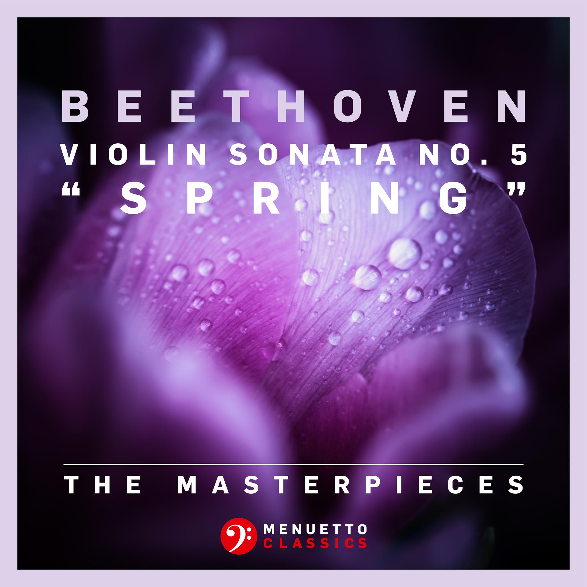 Постер альбома The Masterpieces - Beethoven: Violin Sonata No. 5 in F Major, Op. 24 "Spring"
