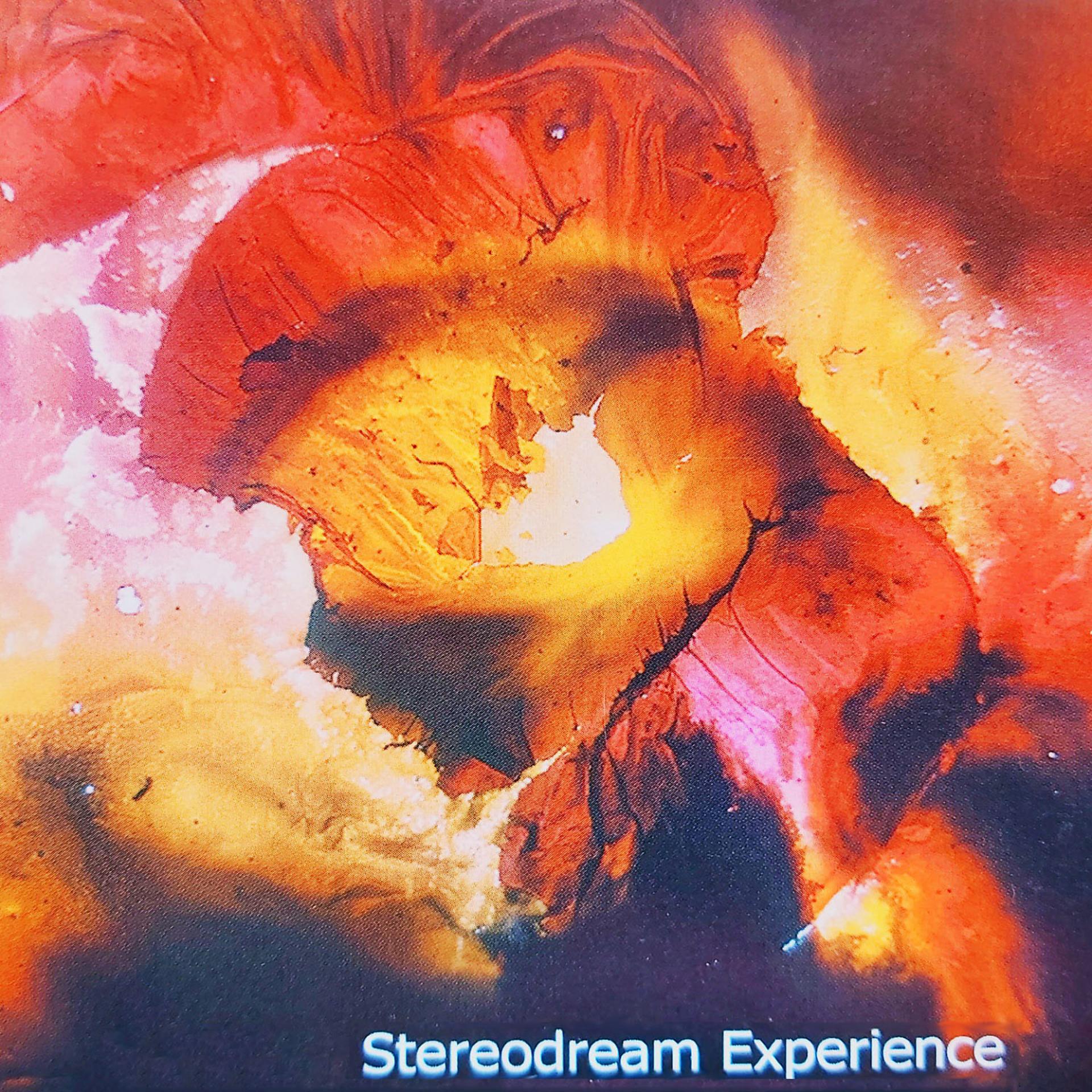 Постер альбома Stereodream experience