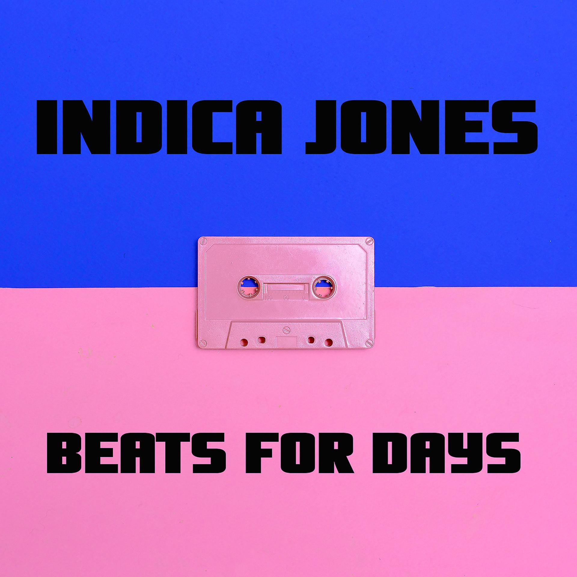 Постер альбома Indica Jones Beats for Days
