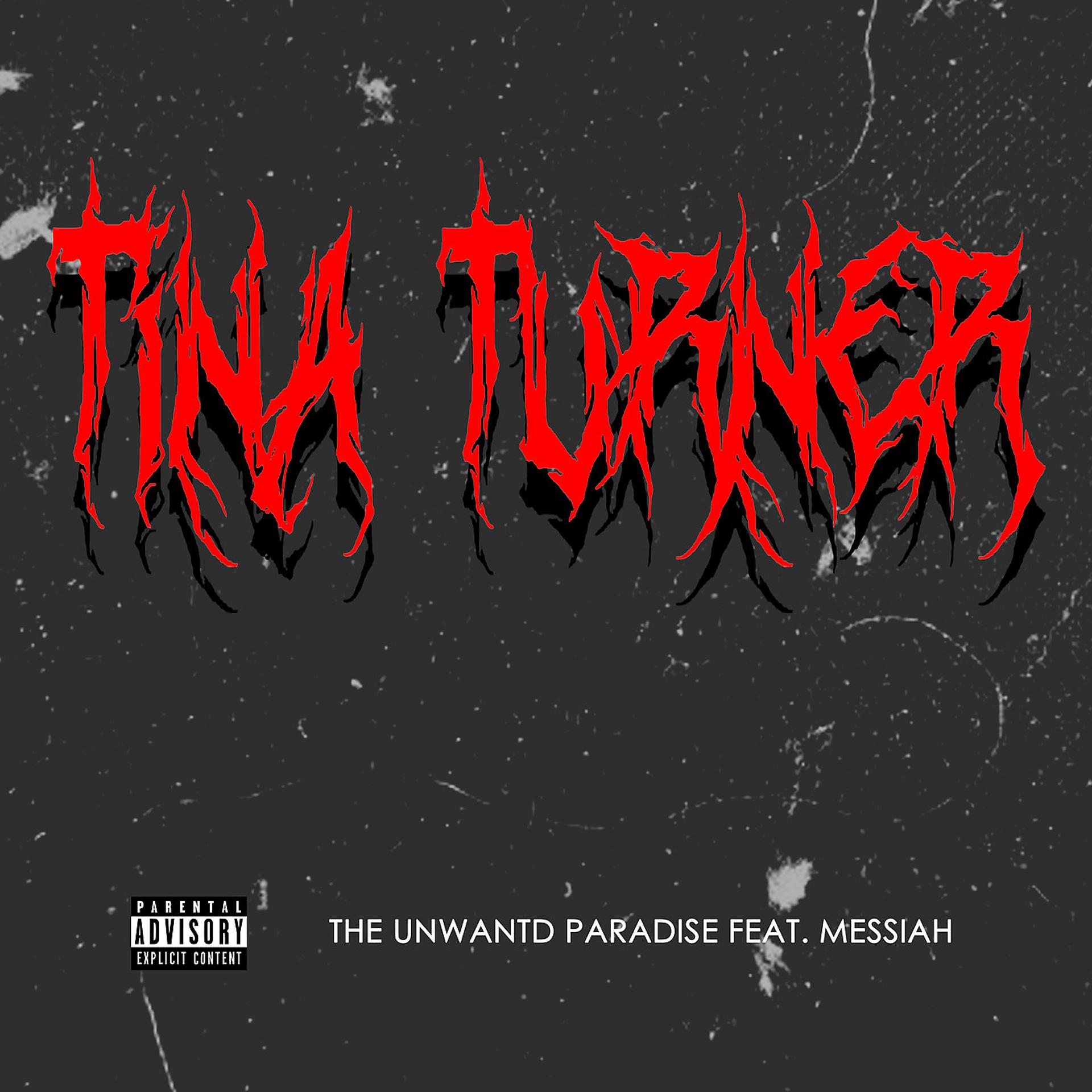 Постер альбома Tina Turner