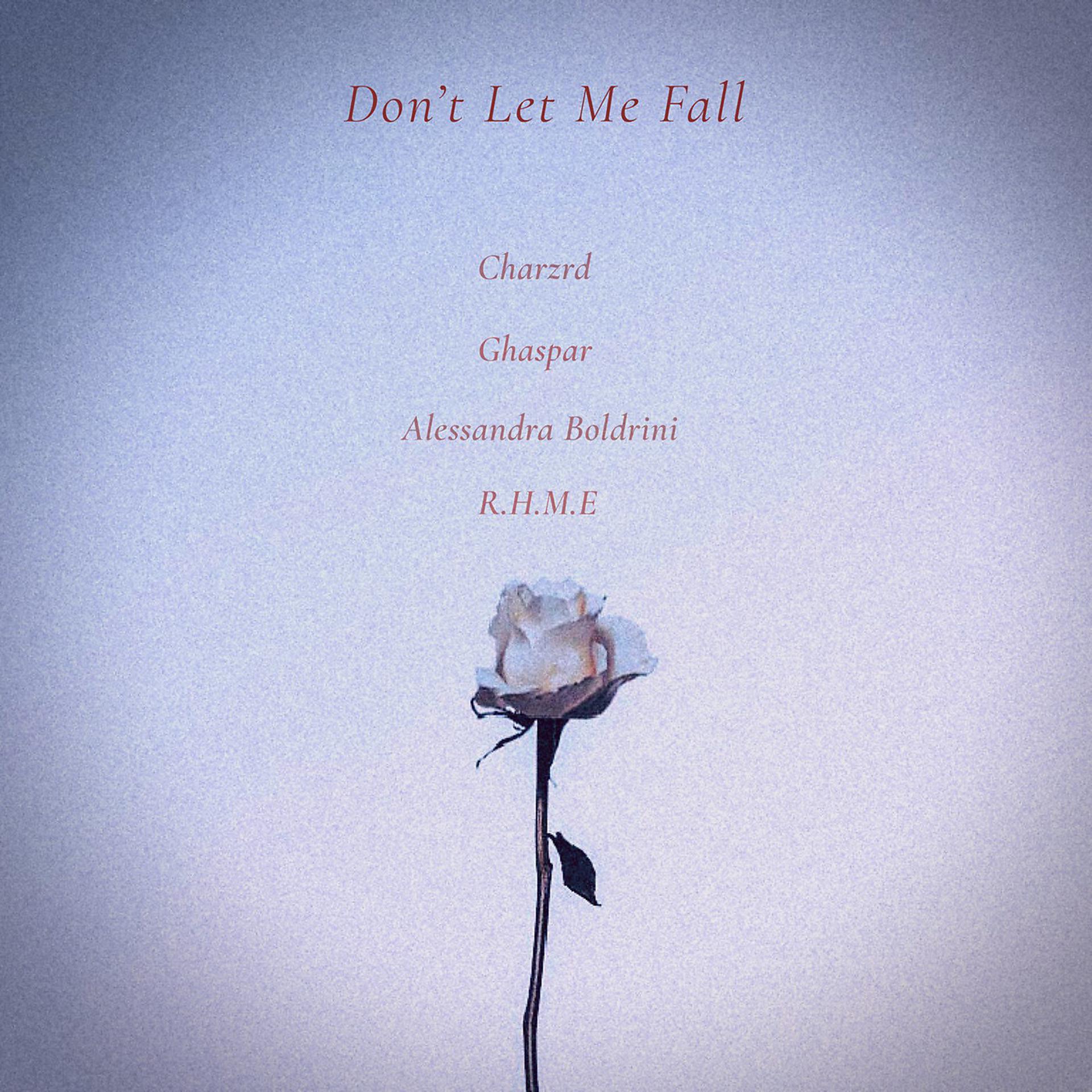 Постер альбома Don't Let Me Fall