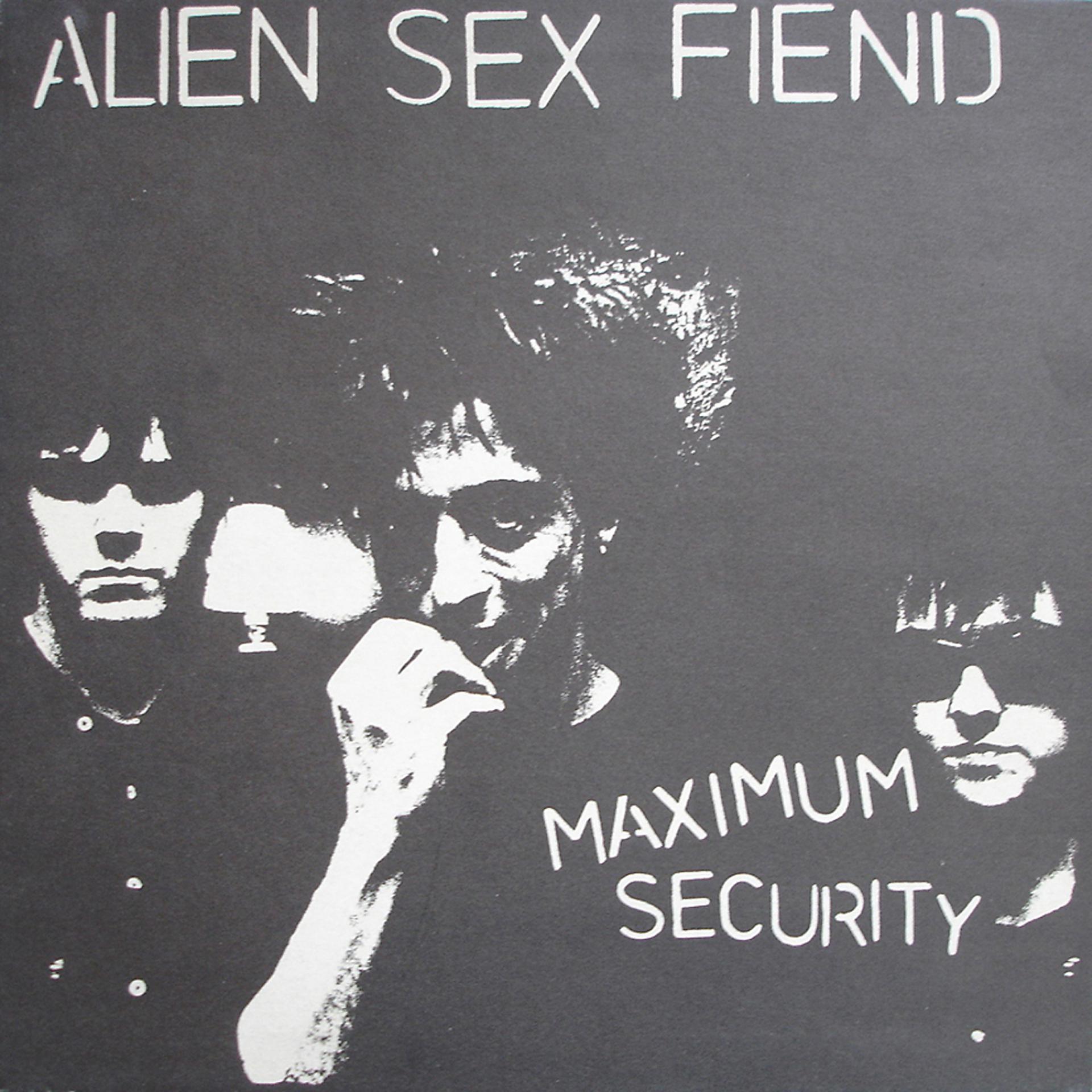 Постер альбома Maximum Security
