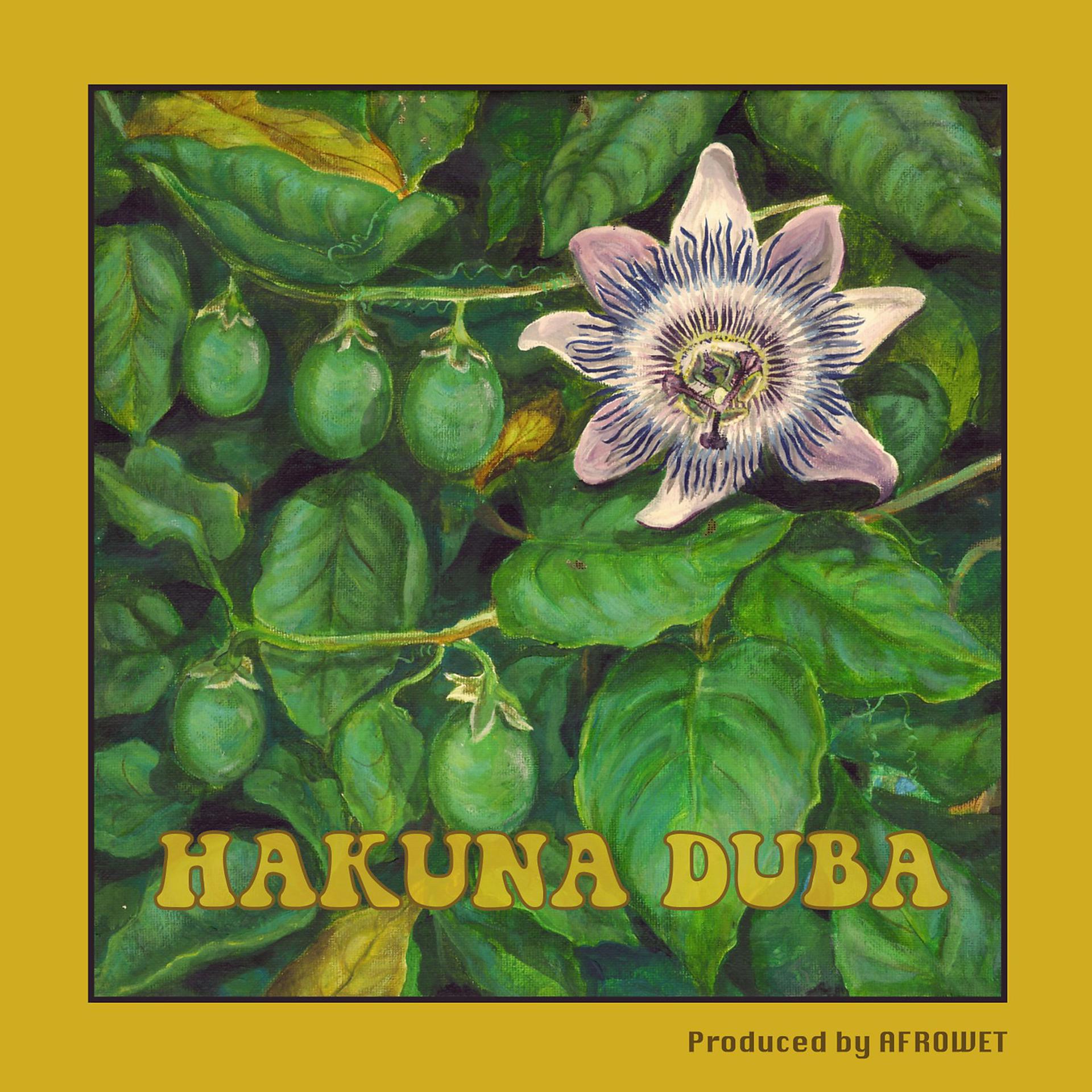 Постер альбома Hakuna Duba