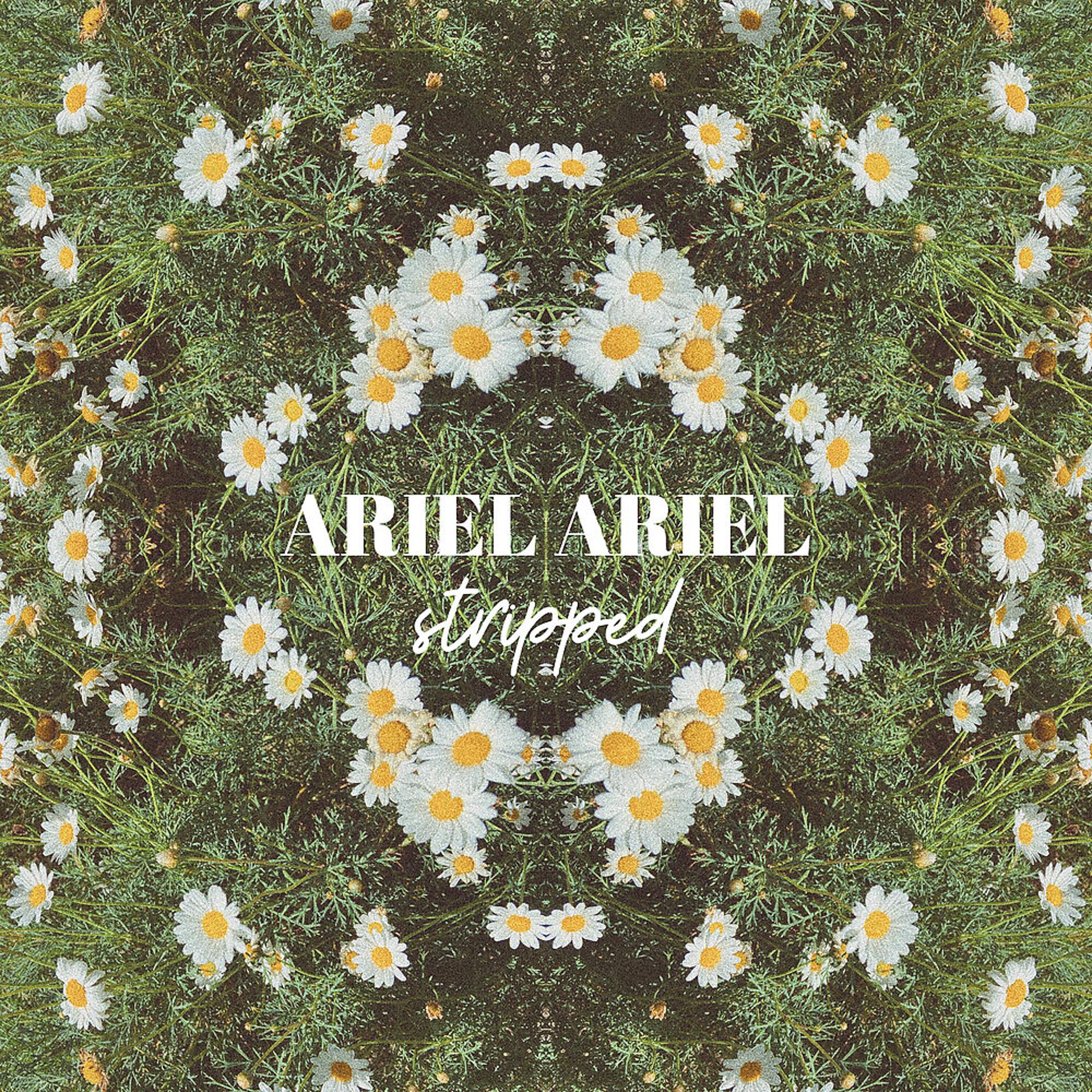 Постер альбома ARIEL ARIEL