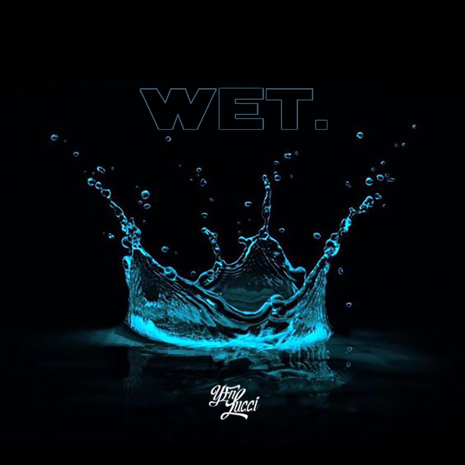 Постер альбома Wet (She Got That…)