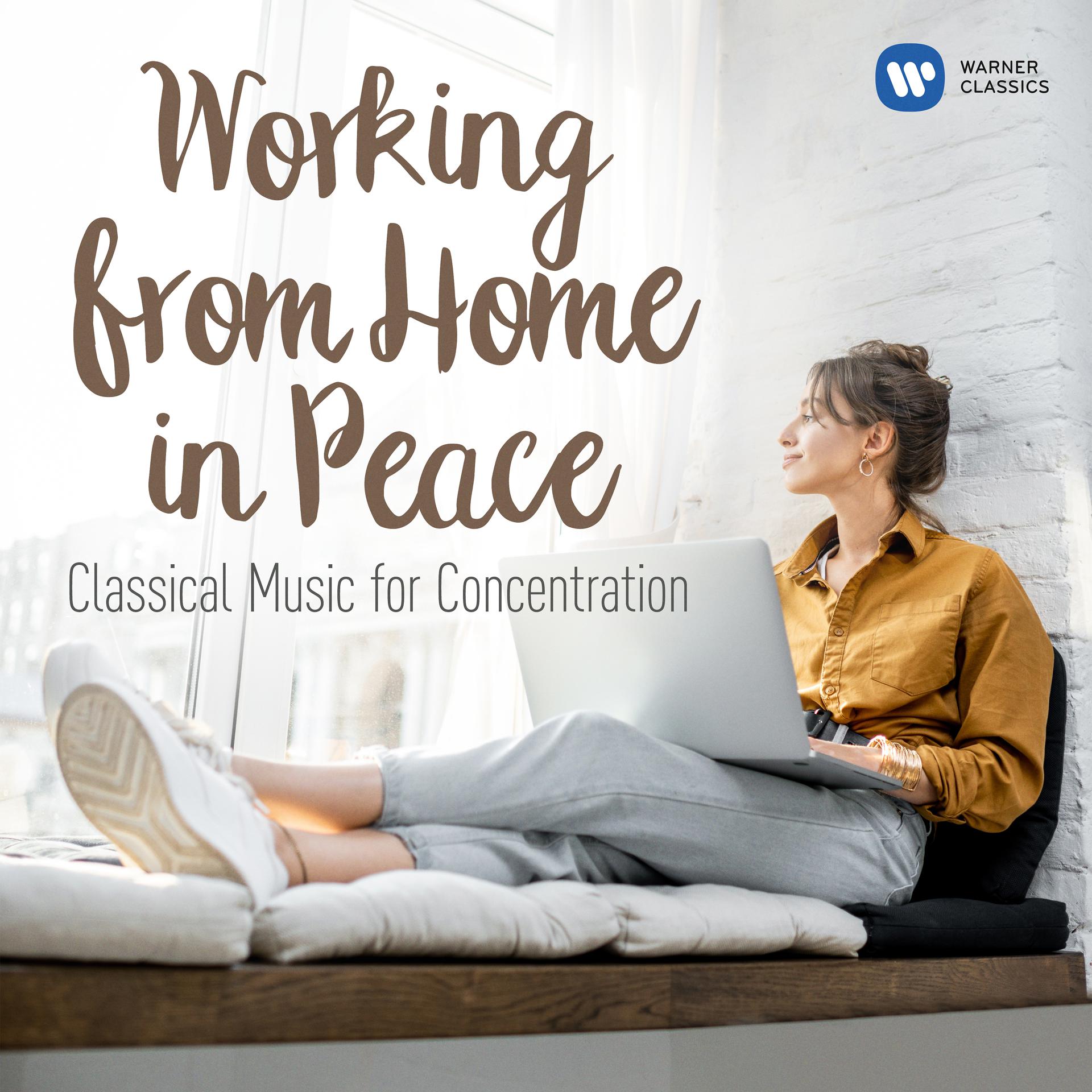 Постер альбома Working from Home in Peace: Classical Tunes for Concentration