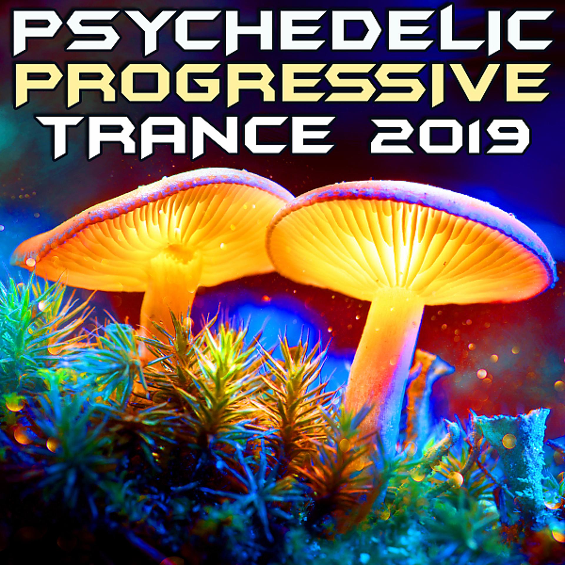 Постер альбома Psychedelic Progressive Trance 2019 (Goa Doc DJ Mix)