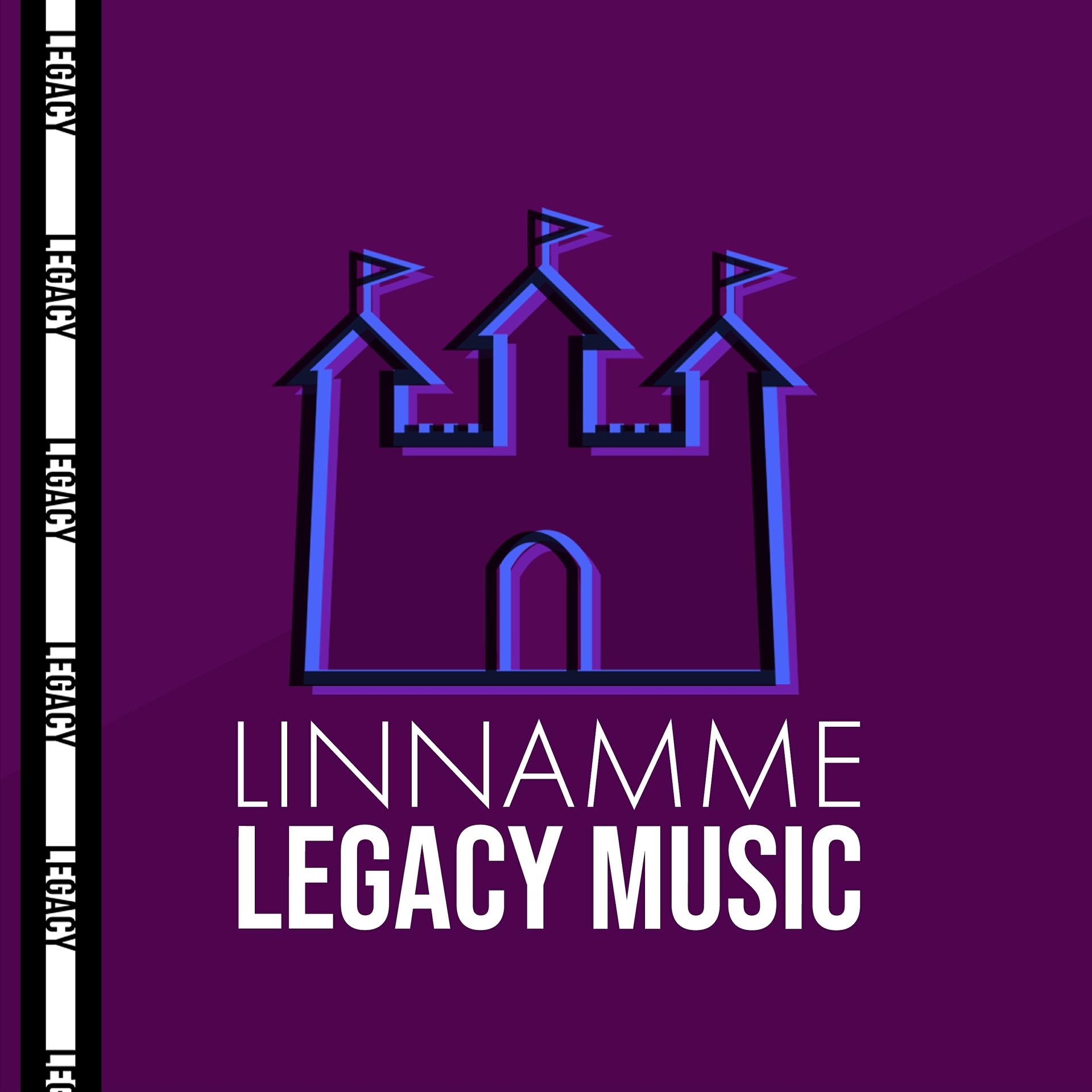 Постер альбома Linnamme