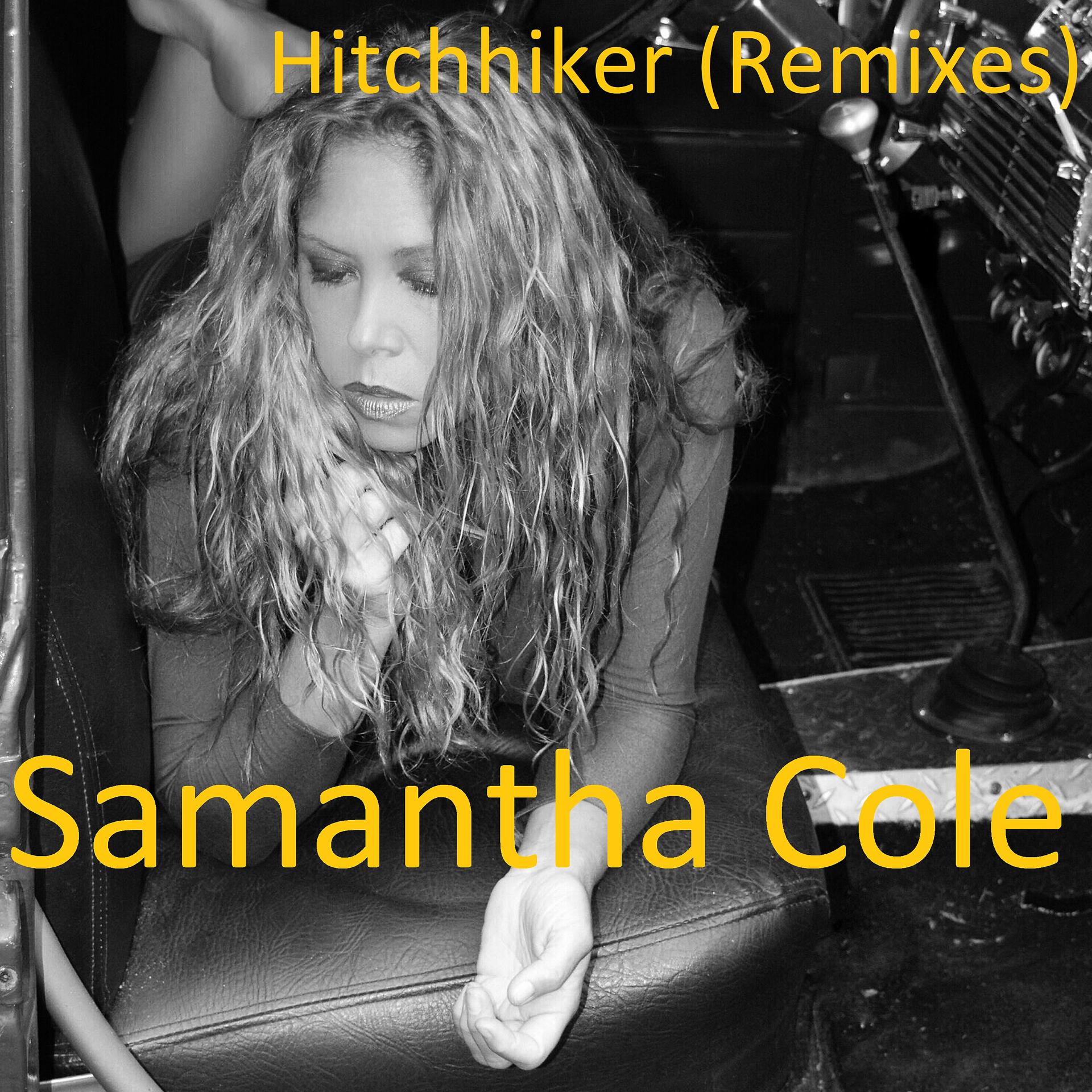 Постер альбома Hitchhiker (Remixes)