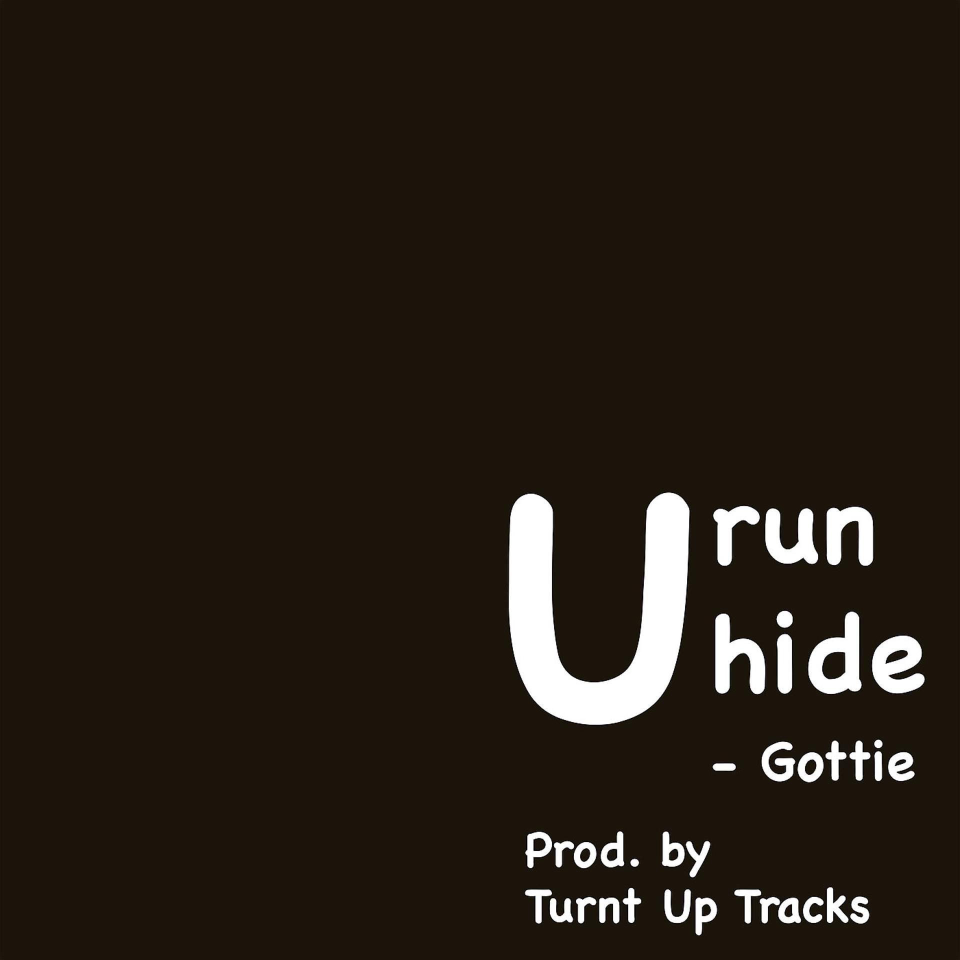 Постер альбома U Run U Hide