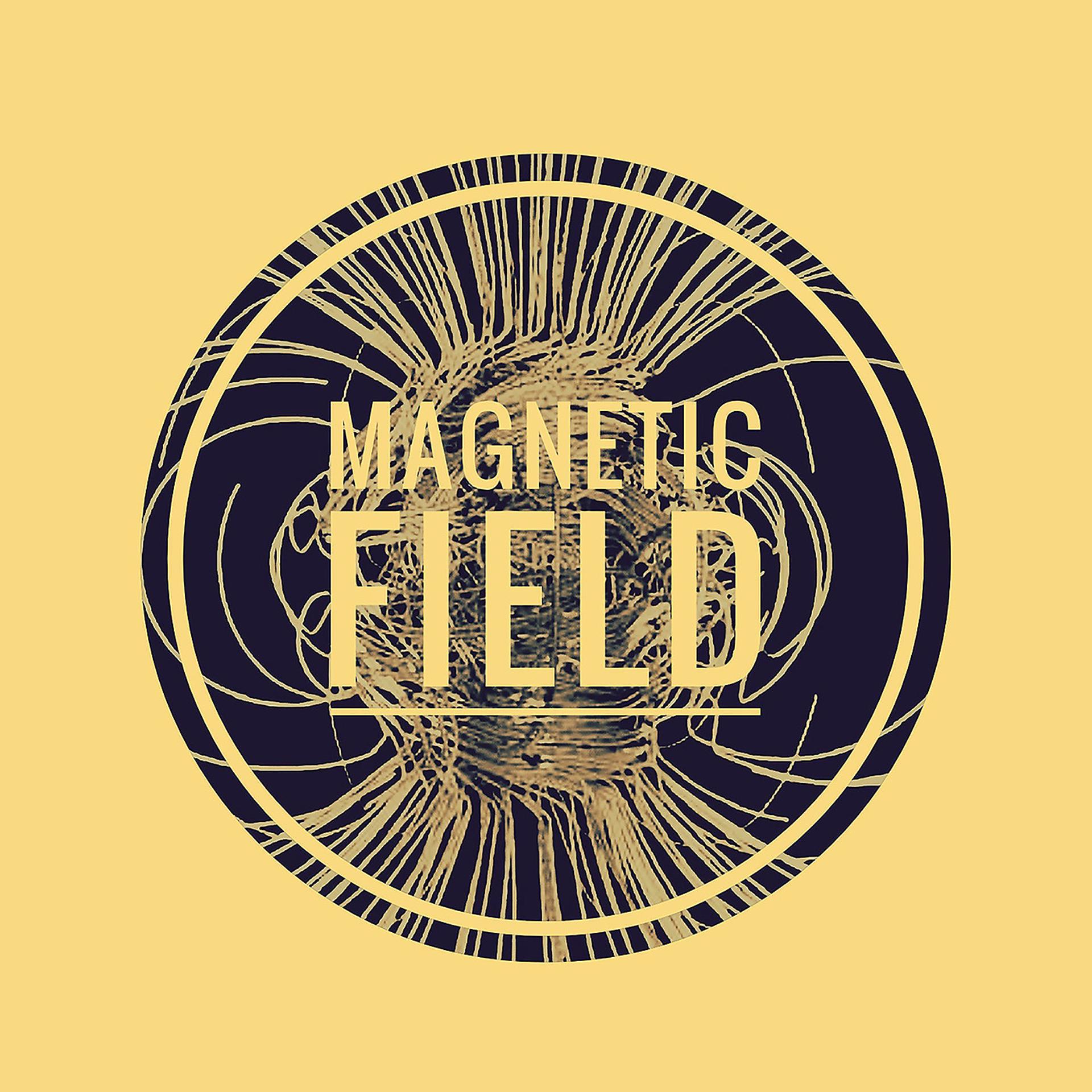 Постер альбома Magnetic Field