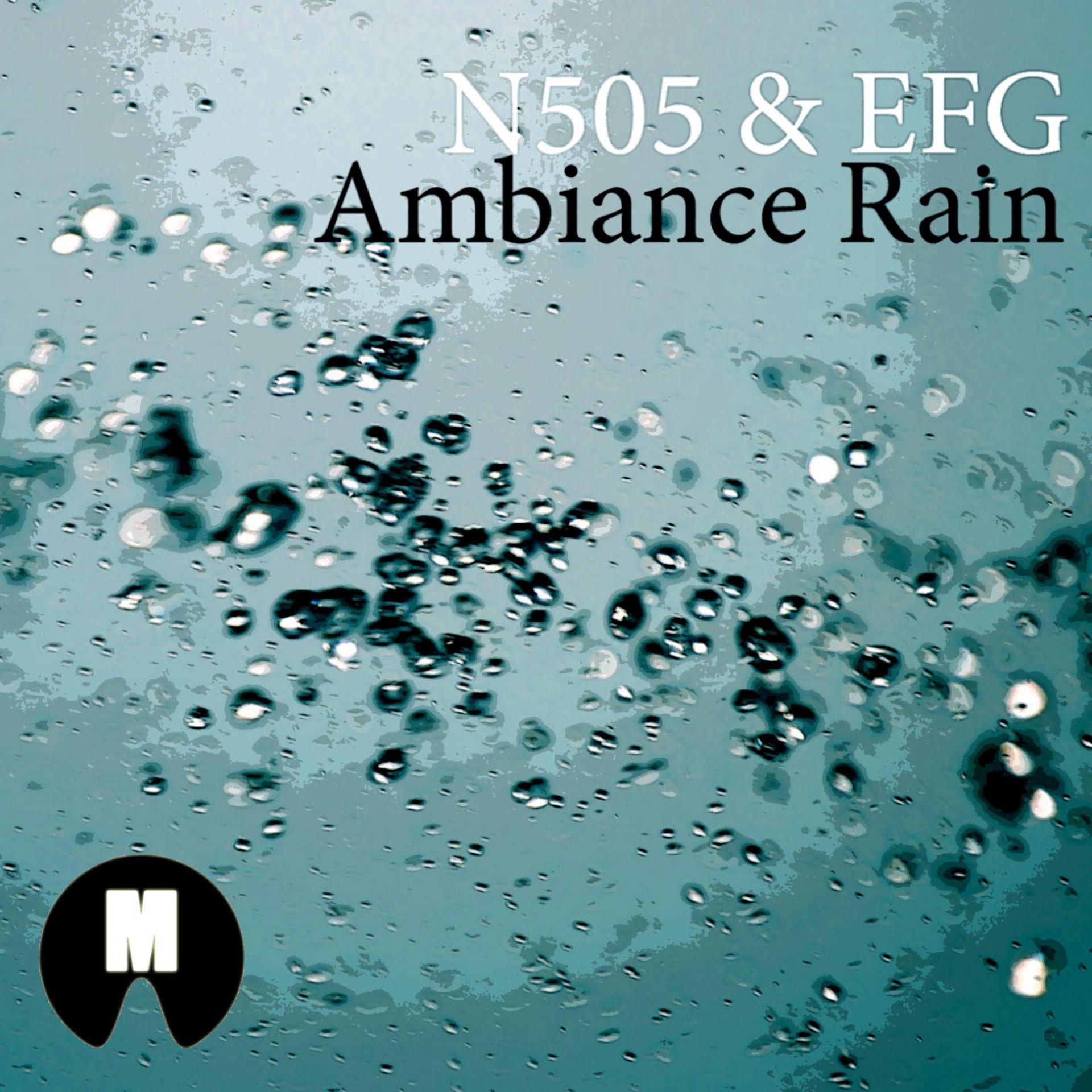Постер альбома Ambiance Rain