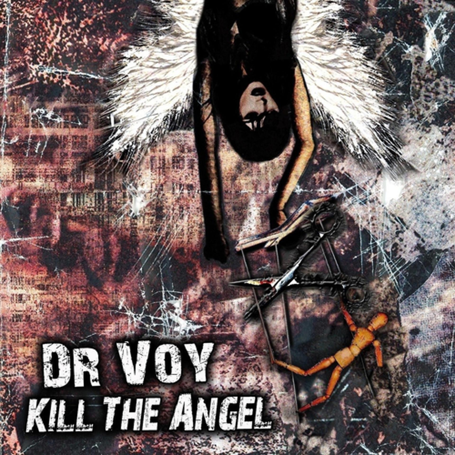 Постер альбома Kill The Angel