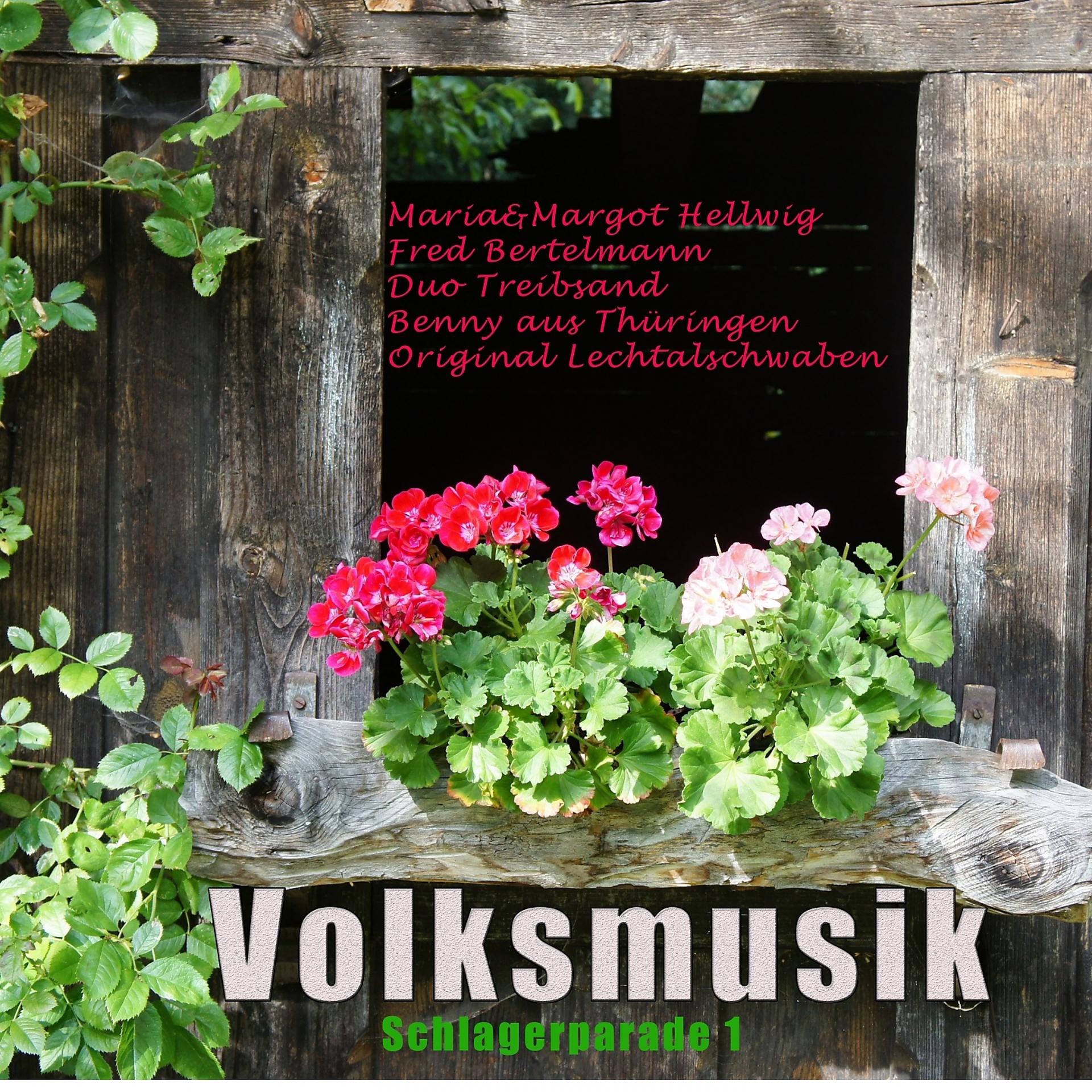 Постер альбома Volksmusik Schlagerparade Vol.1