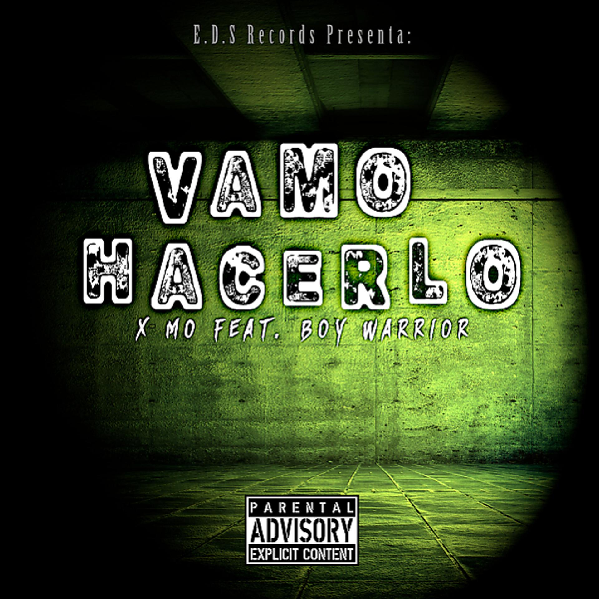 Постер альбома Vamo Hacerlo (feat. Boy Warrior & Big K) [Remix]