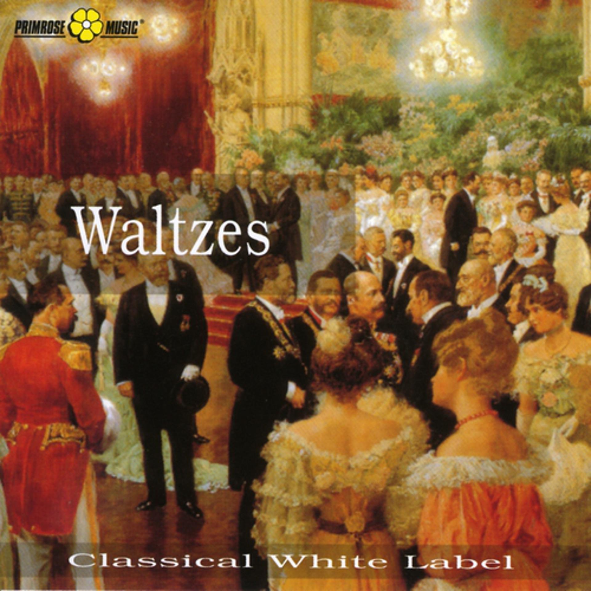 Постер альбома Waltzes