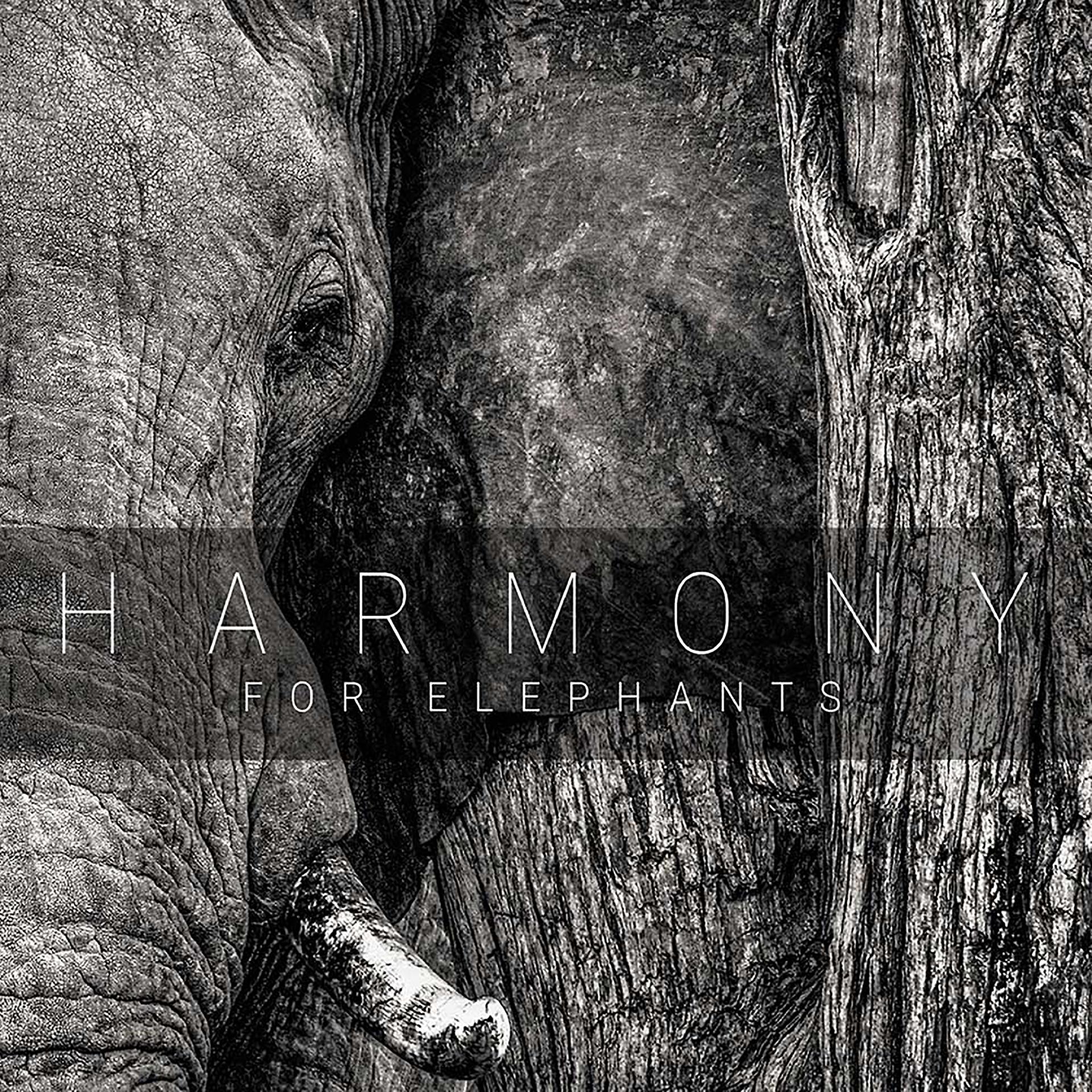Постер альбома Harmony for Elephants