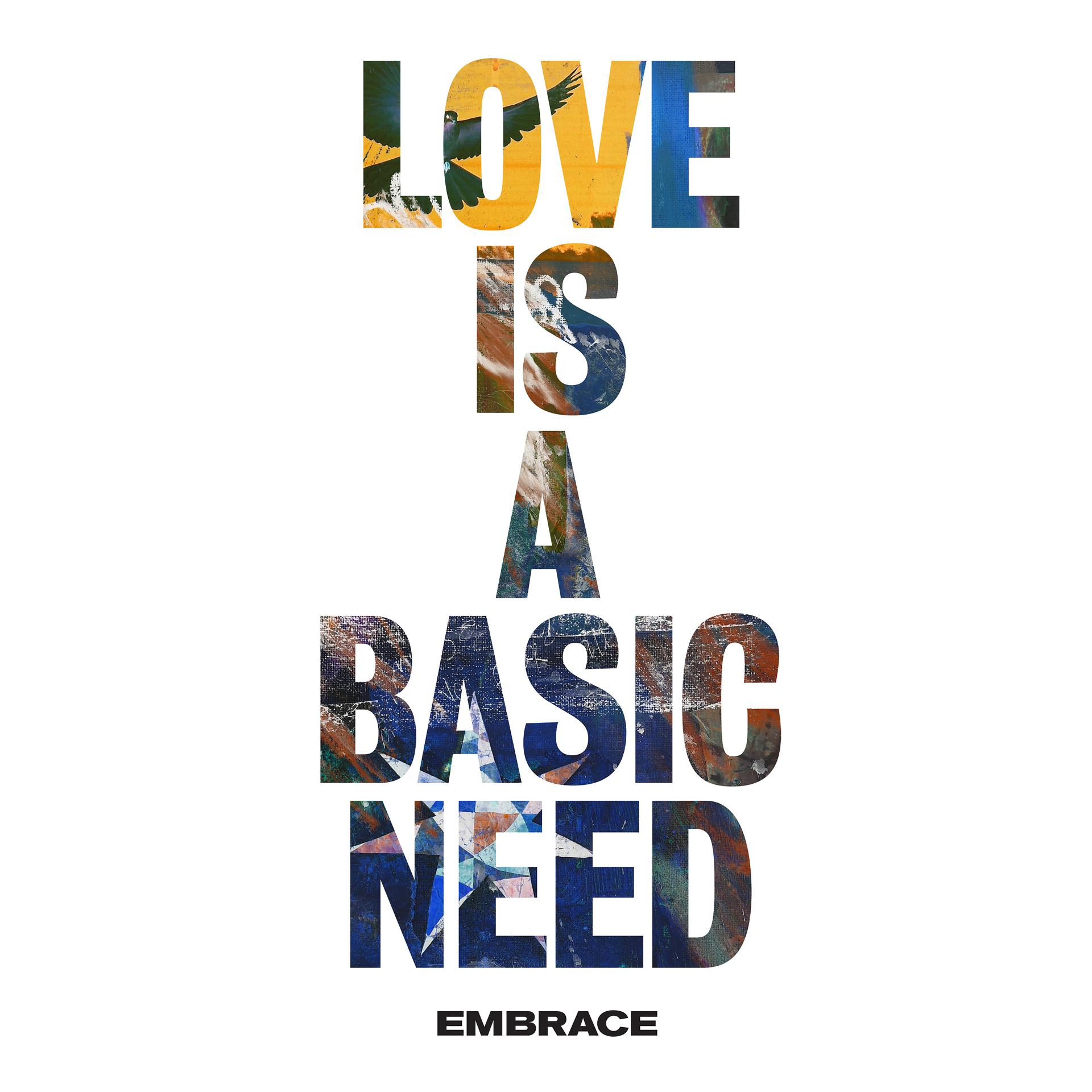 Постер альбома Love is a Basic Need