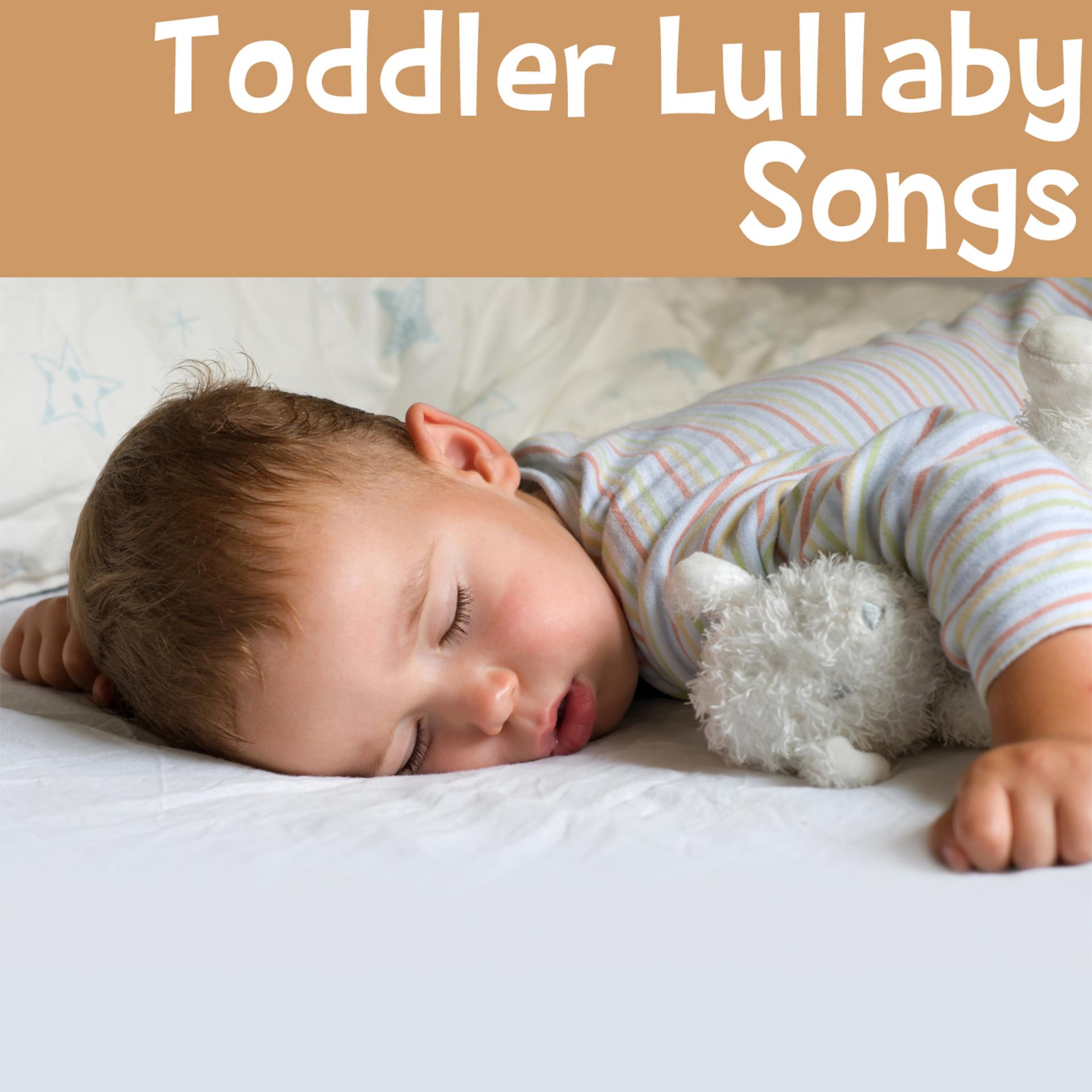 Постер альбома Toddler Lullaby Songs