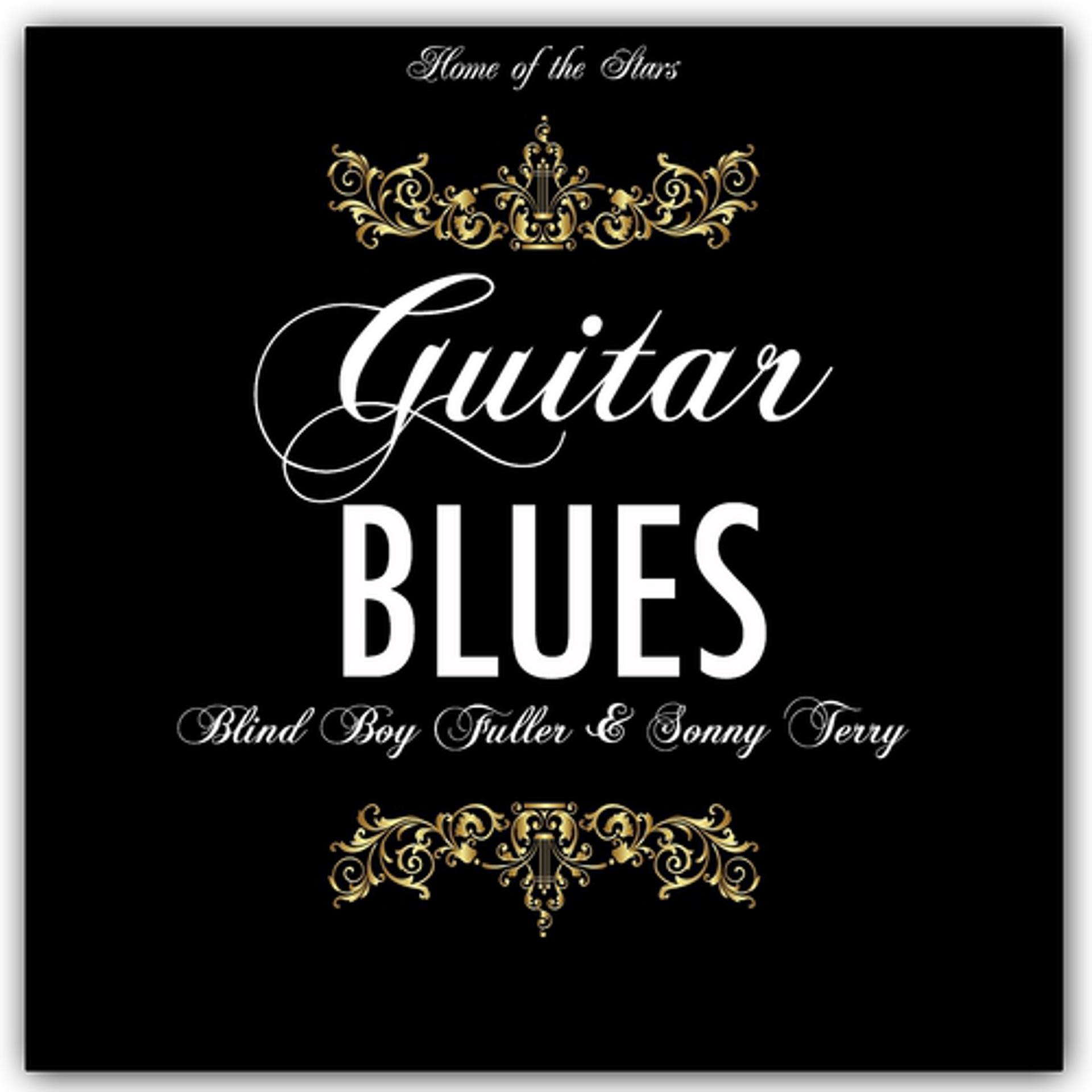 Постер альбома Harmonica & Guitar Blues