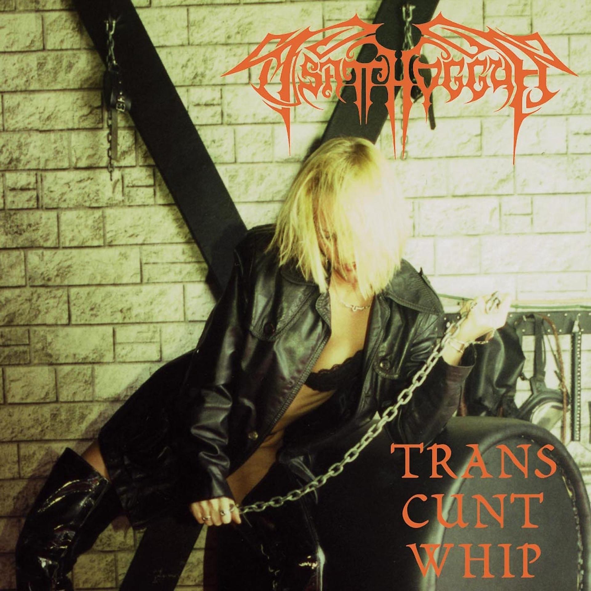 Постер альбома Trans cunt whip
