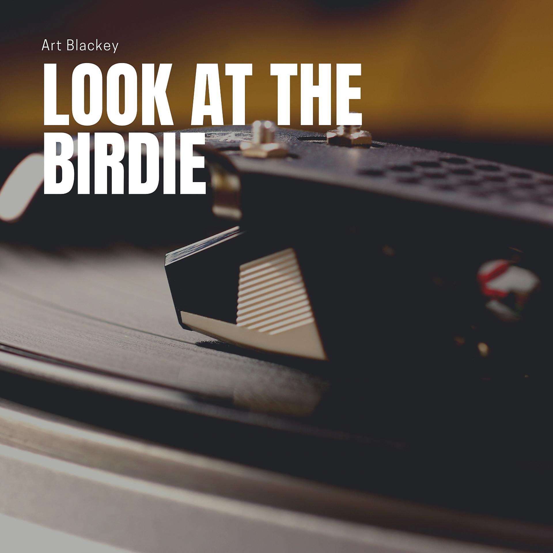 Постер альбома Look At the Birdie