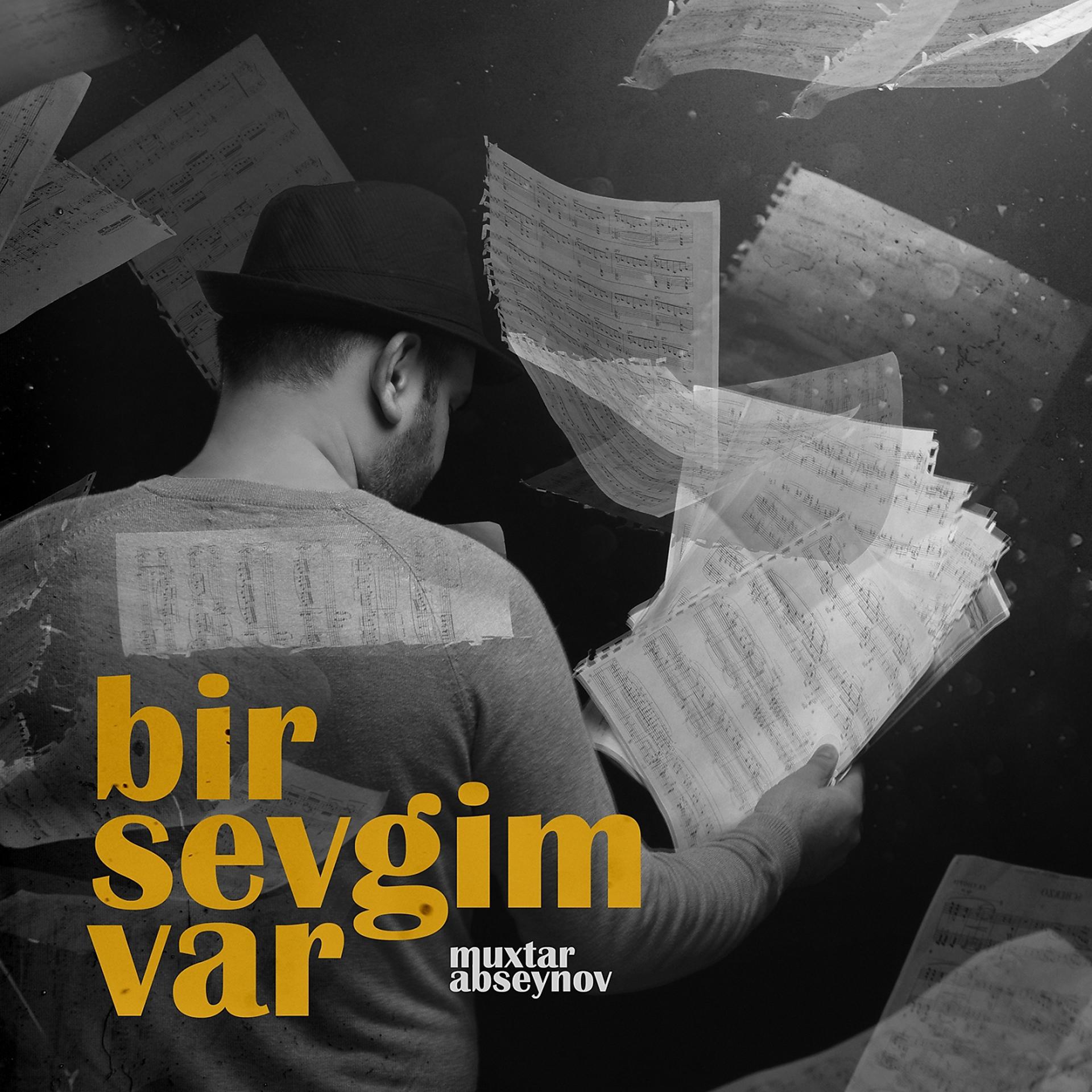 Постер альбома Bir Sevgim Var