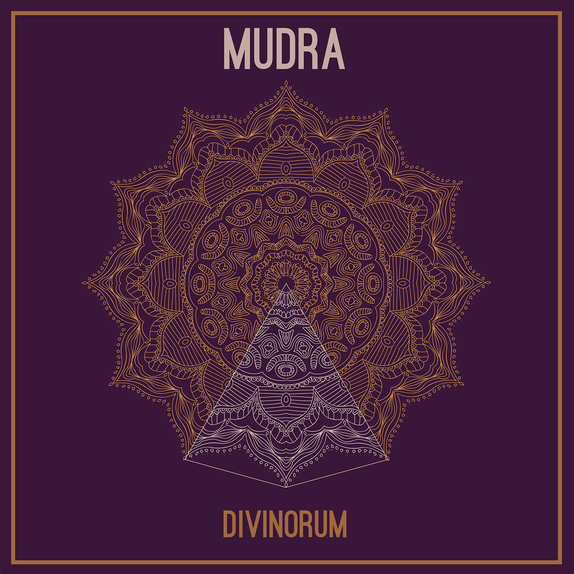 Постер альбома Divinorum