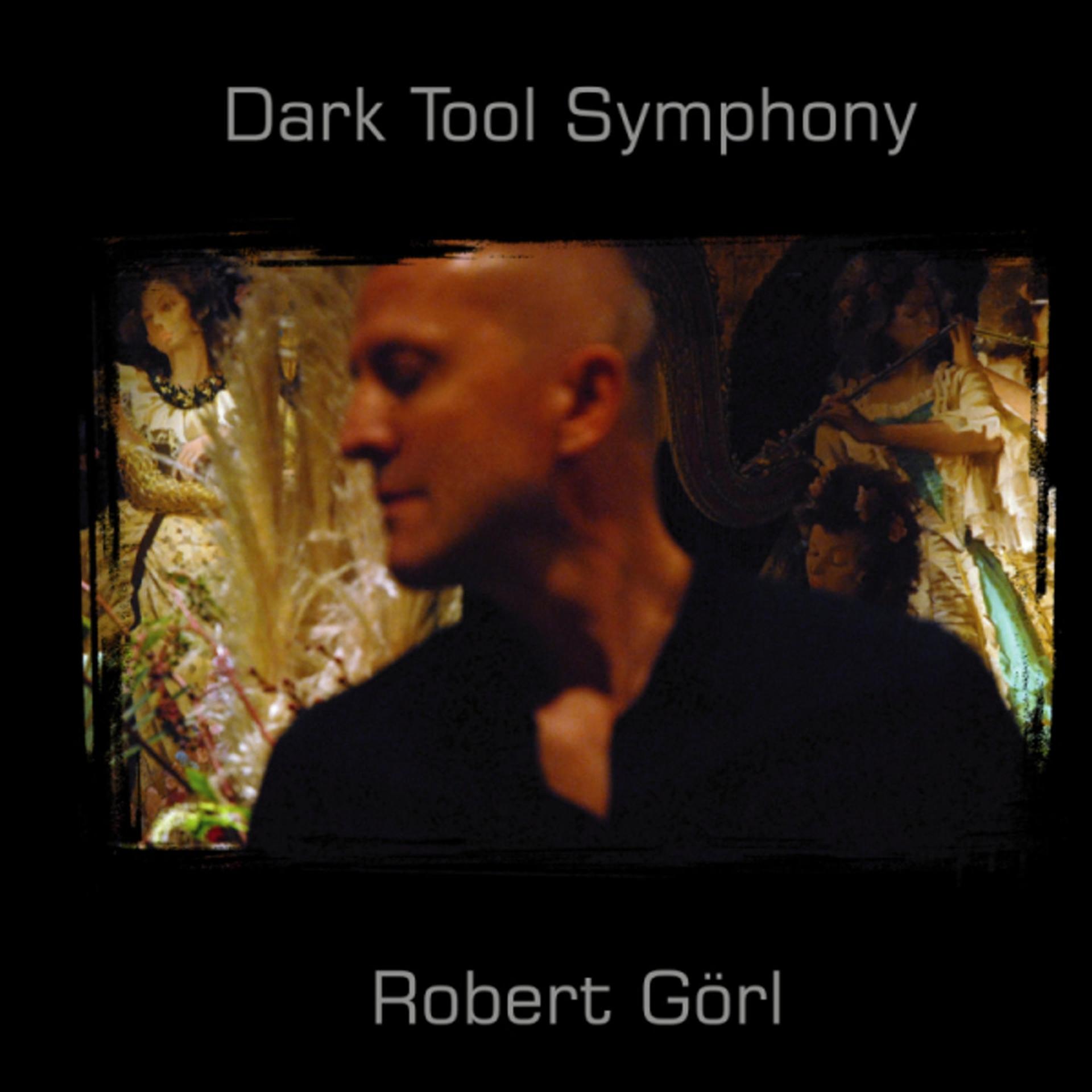Постер альбома Dark Tool Symphony
