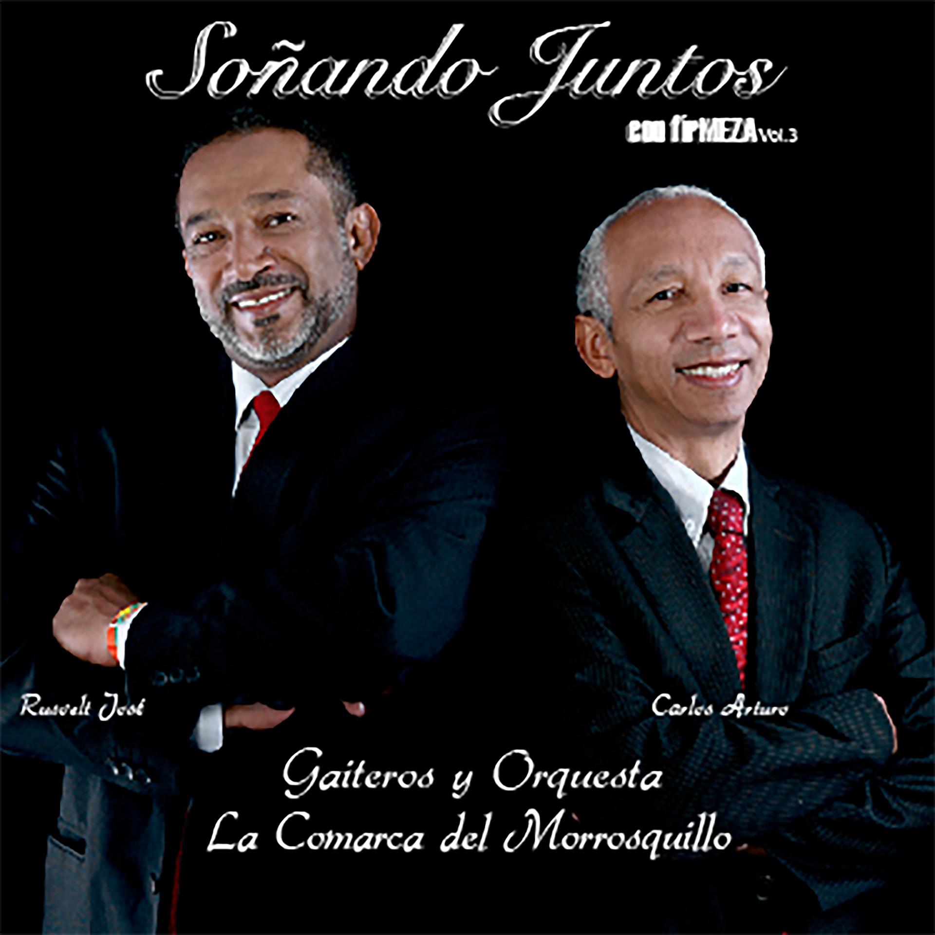 Постер альбома Soñando Juntos Con Firmeza, Vol. 3