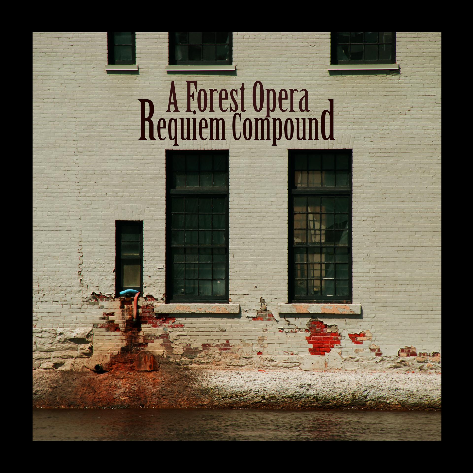Постер альбома Requiem Compound