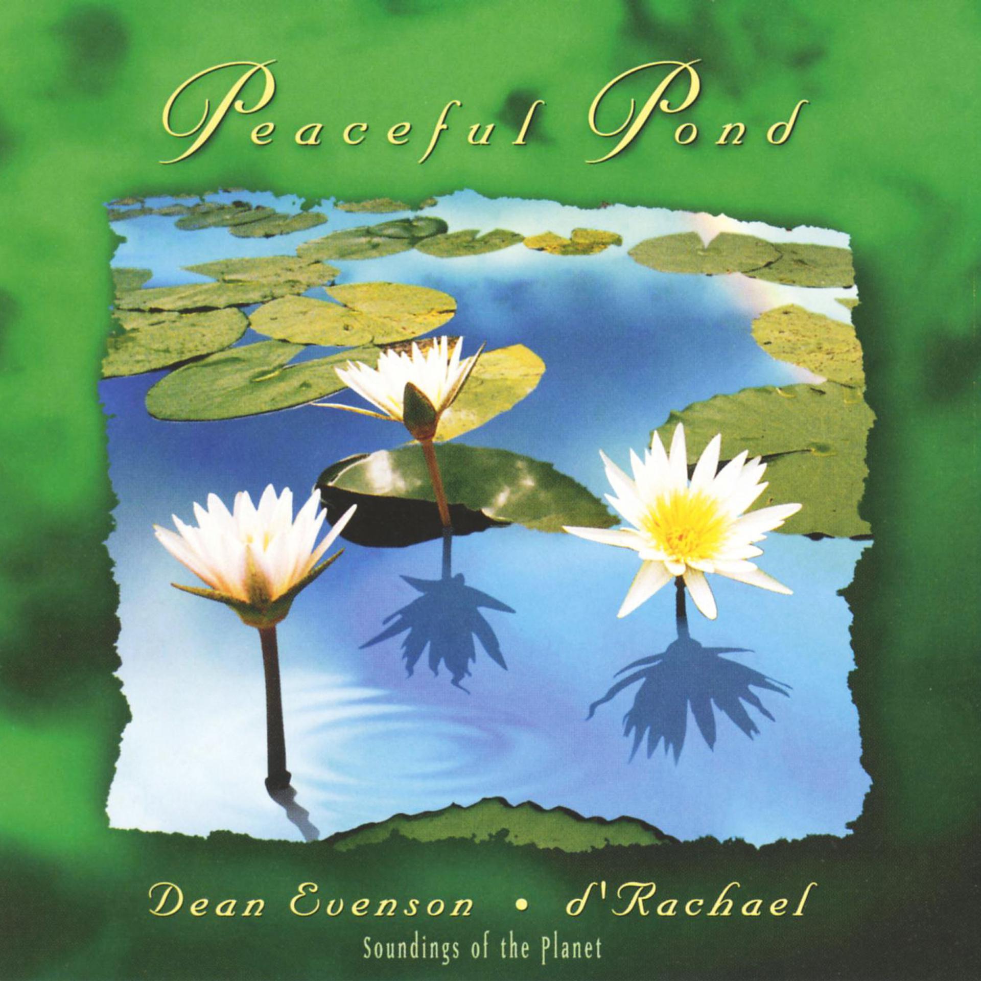 Постер альбома Peaceful Pond