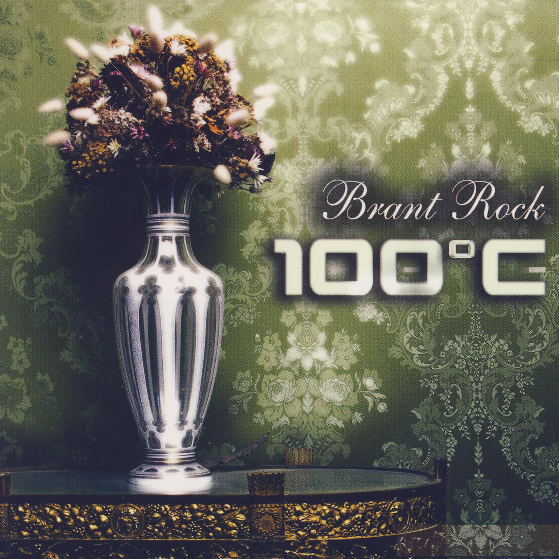Постер альбома Brant Rock