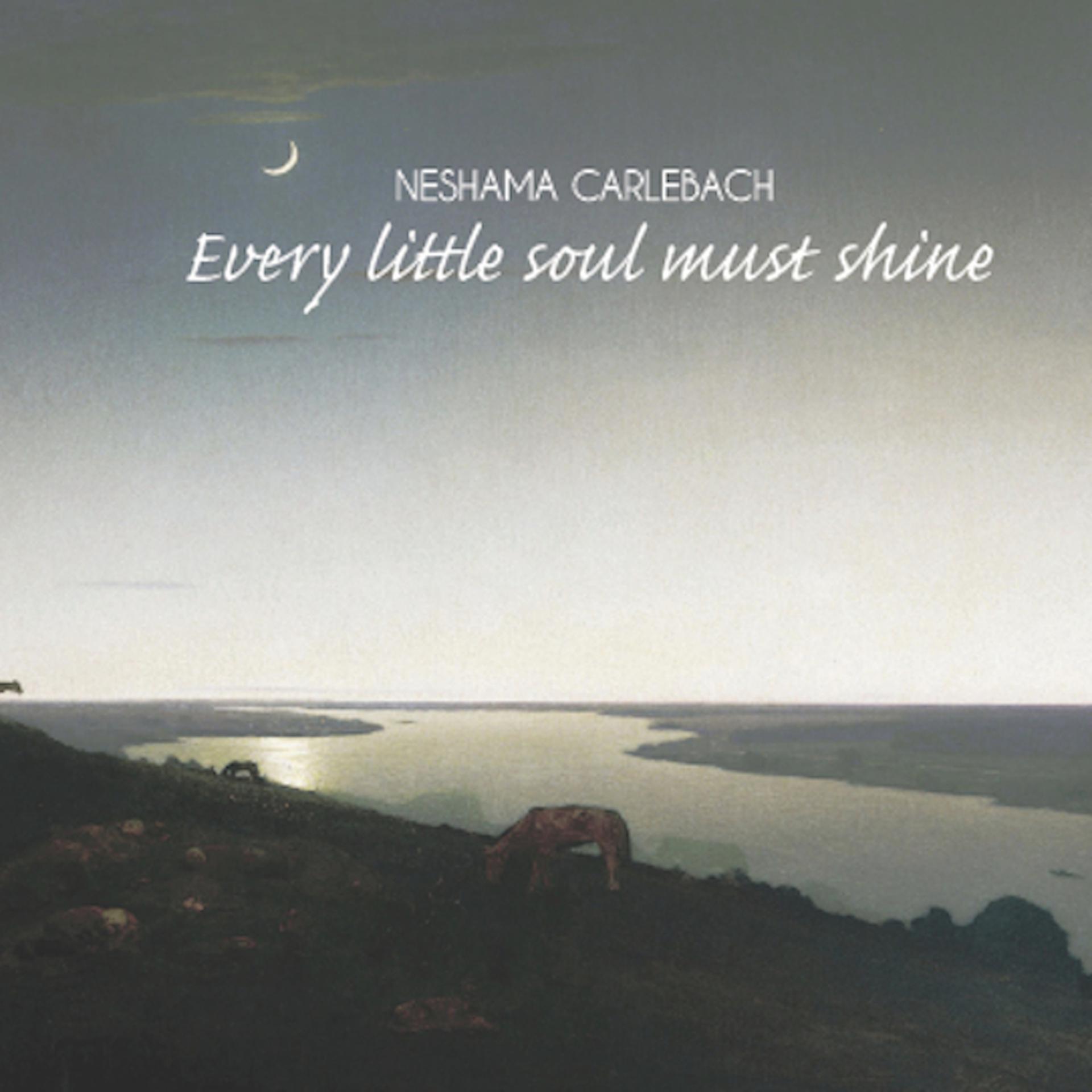 Постер альбома Every Little Soul Must Shine