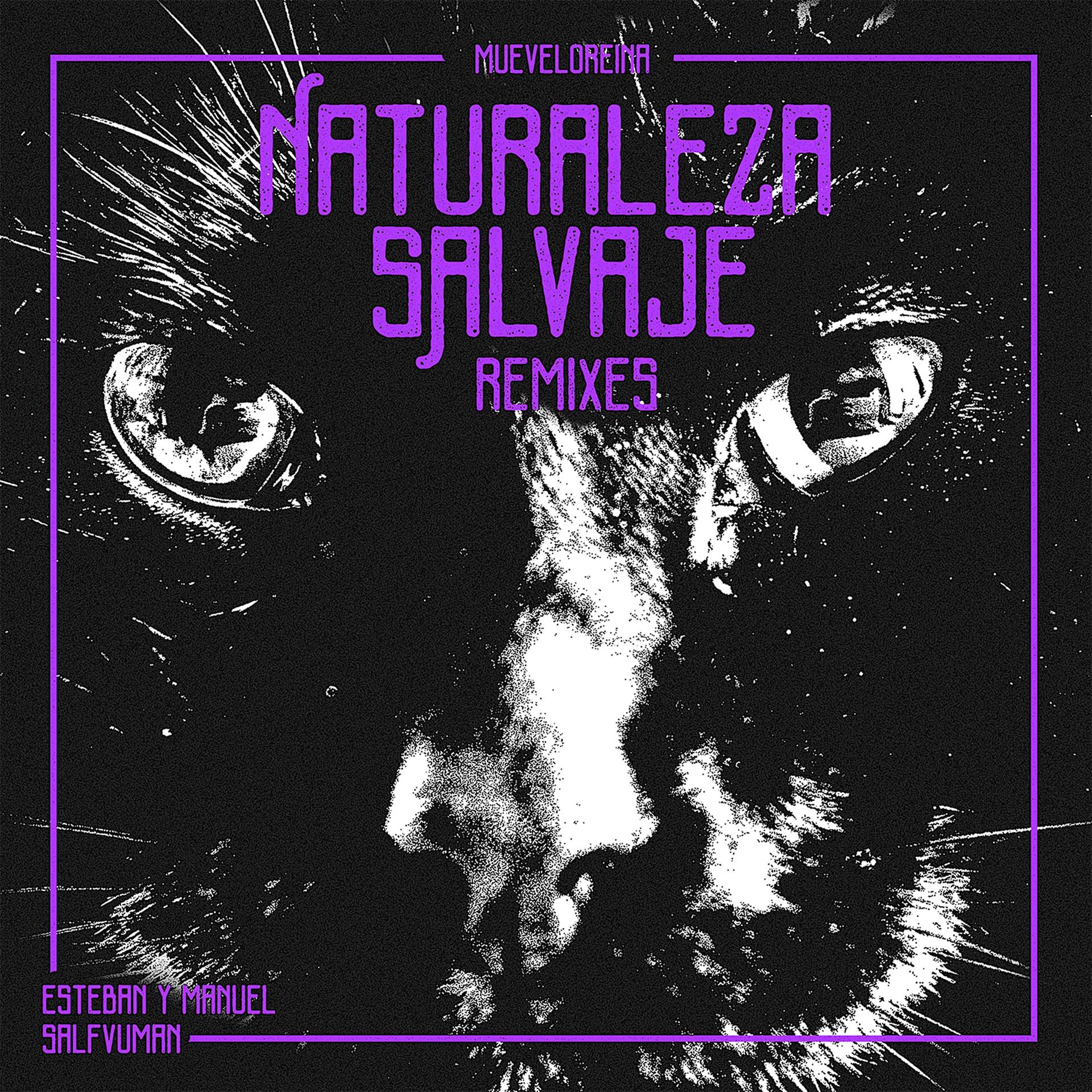 Постер альбома Naturaleza Salvaje (Remixes)