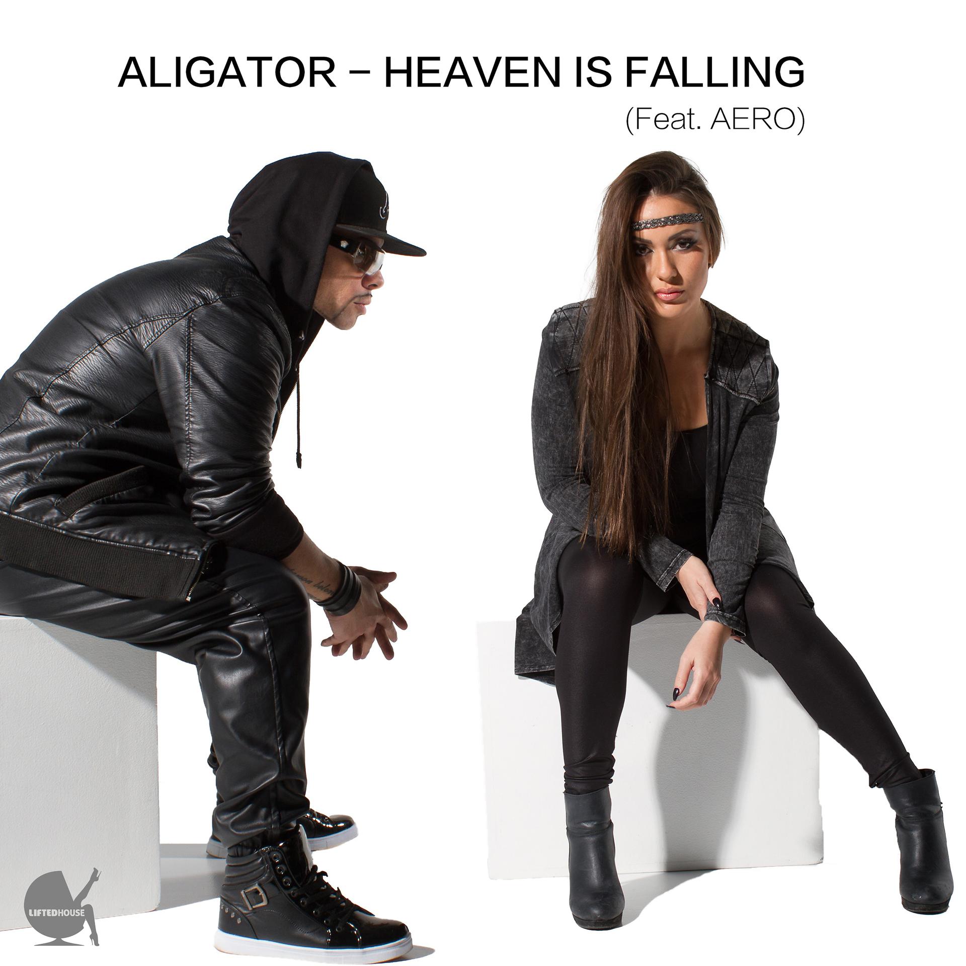 Постер альбома Heaven Is Falling