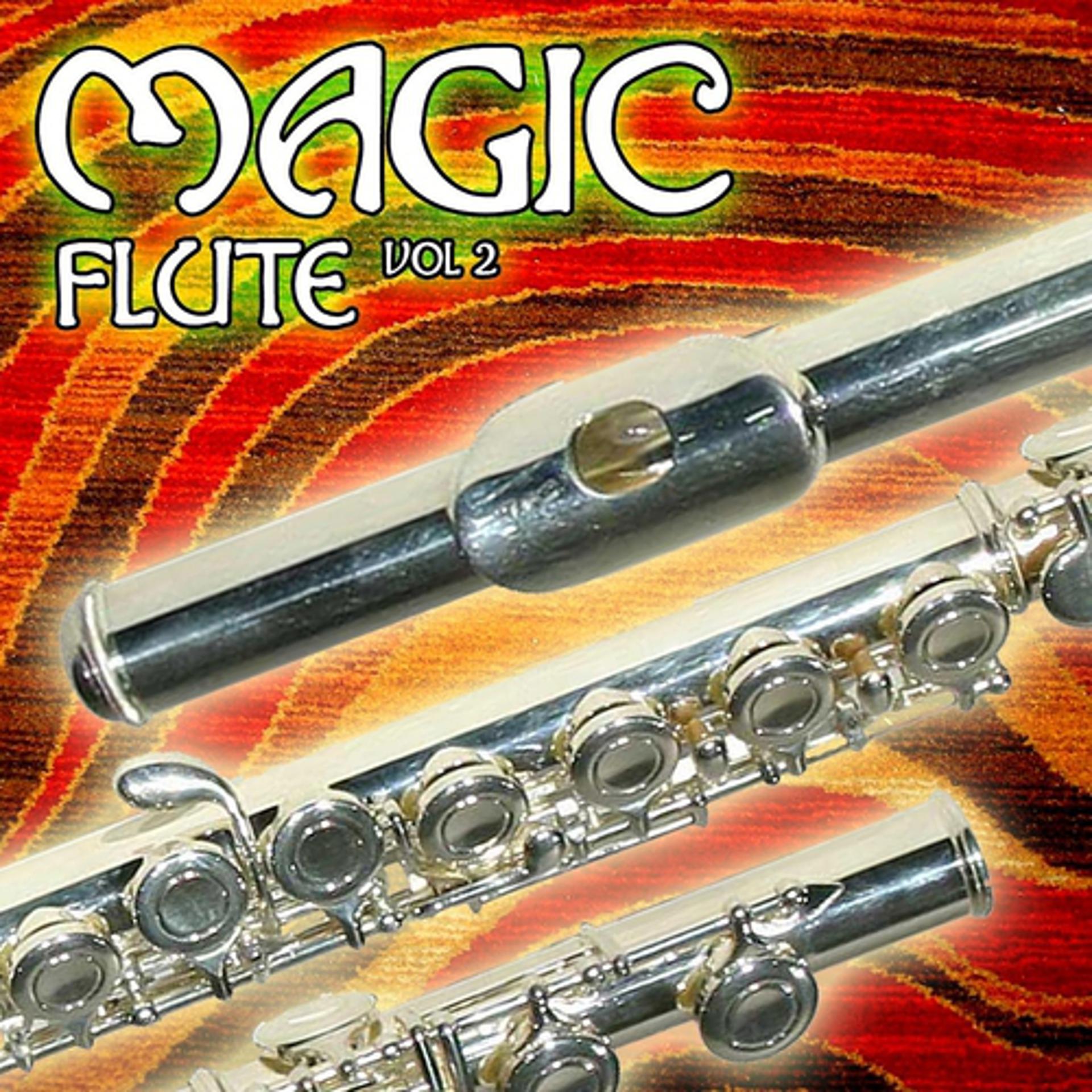 Постер альбома Magic Flute - Volume 2