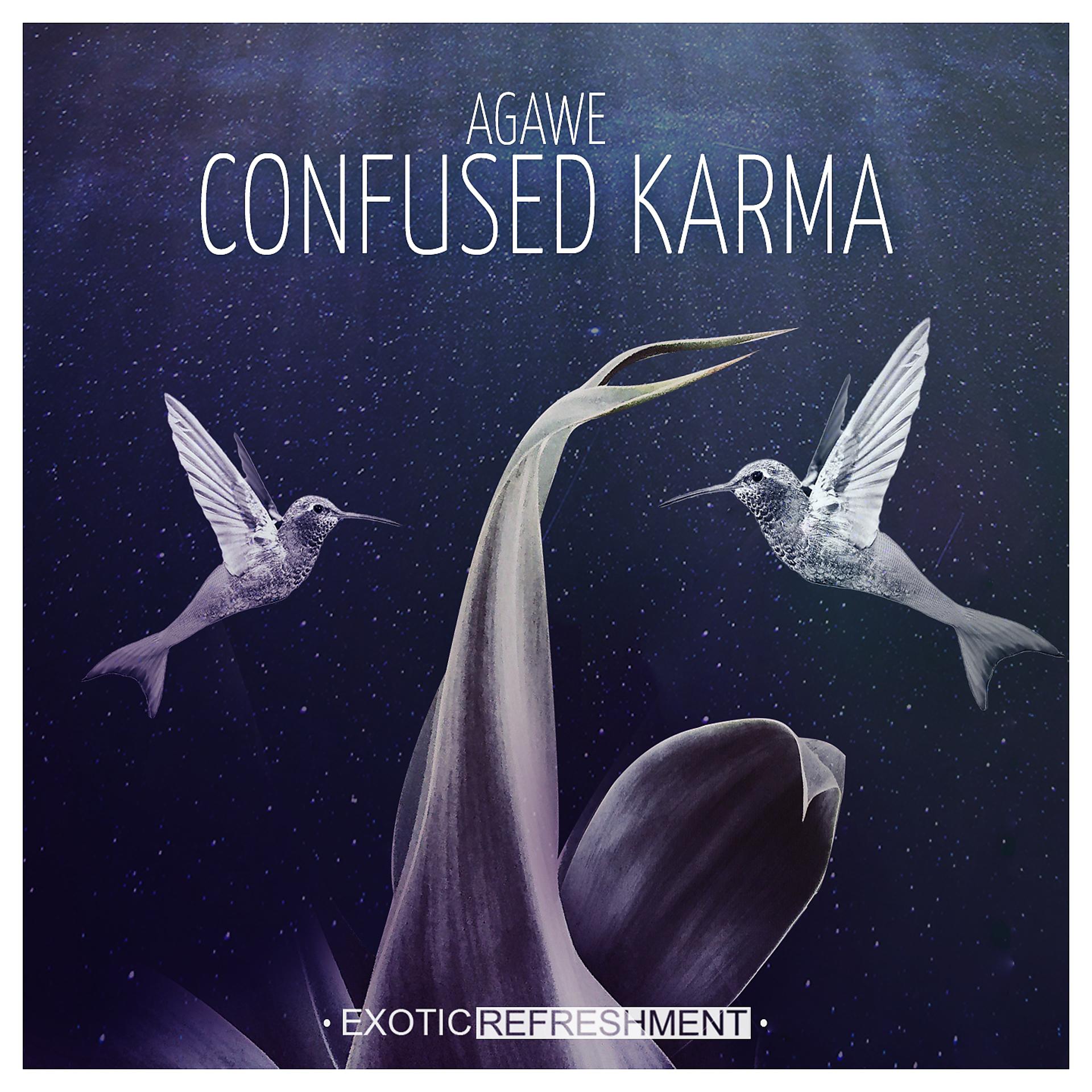 Постер альбома Confused Karma