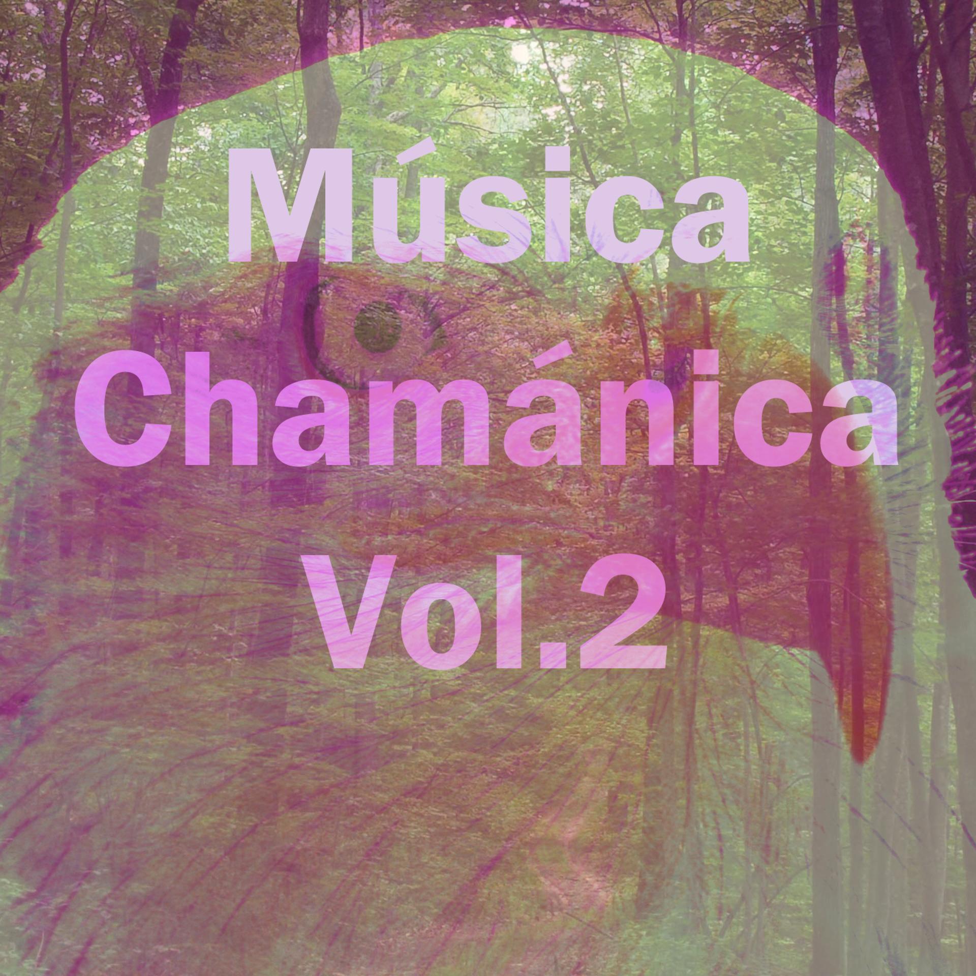 Постер альбома Música Chamánica, Vol. 2