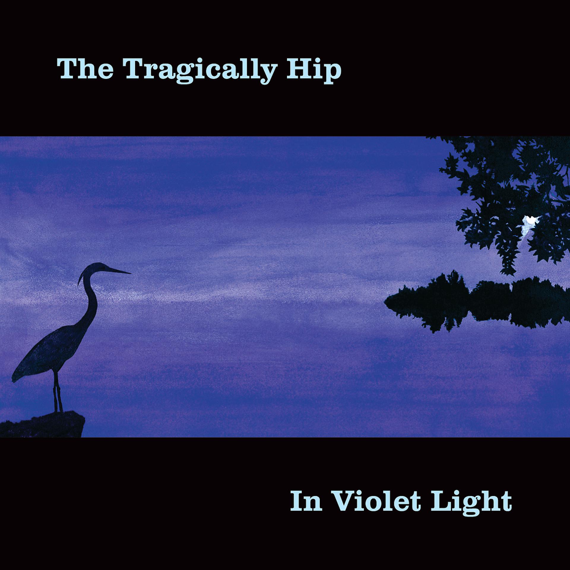 Постер альбома In Violet Light