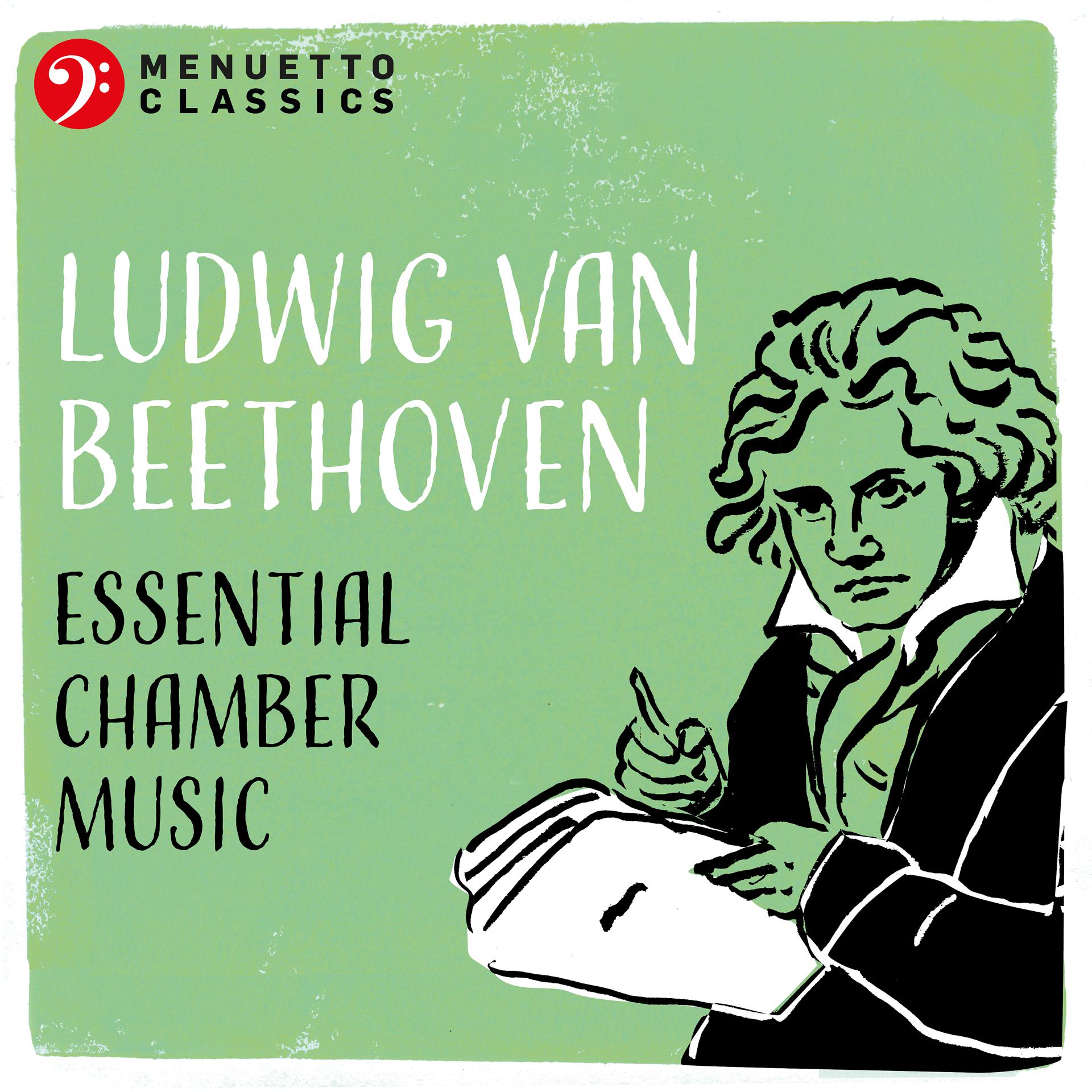Постер альбома Ludwig van Beethoven: Essential Chamber Music